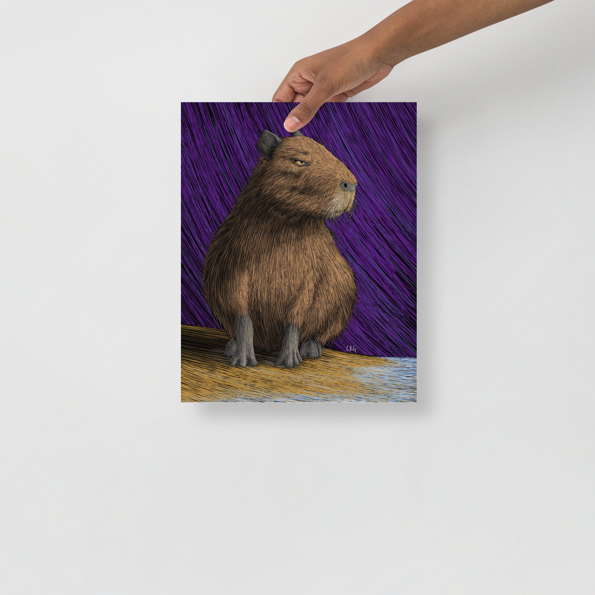 Capybara Art Print