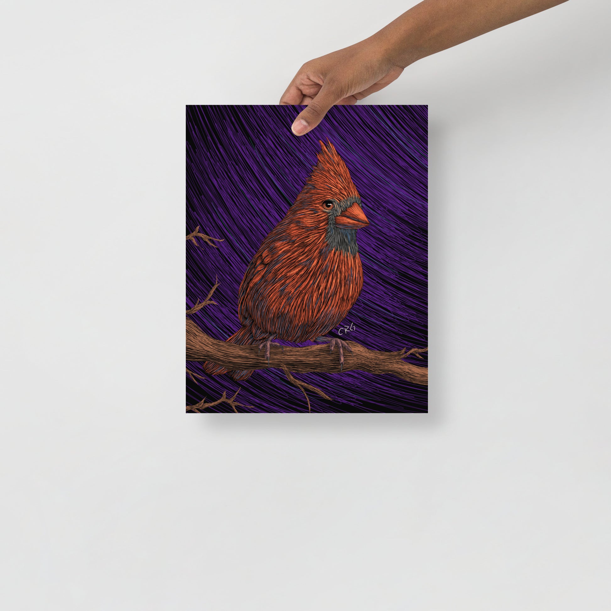 Cardinal Art Print