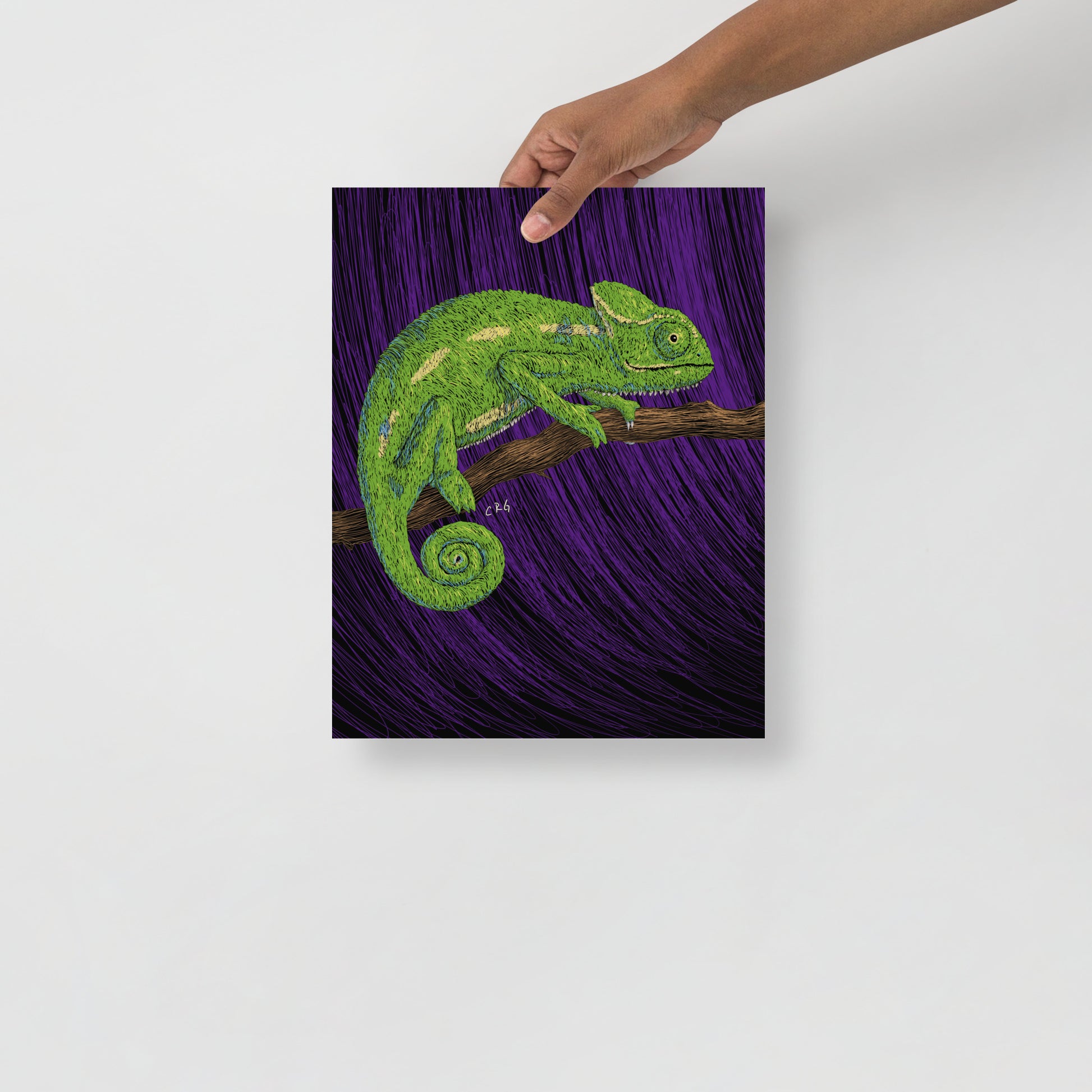 Chameleon Art Print