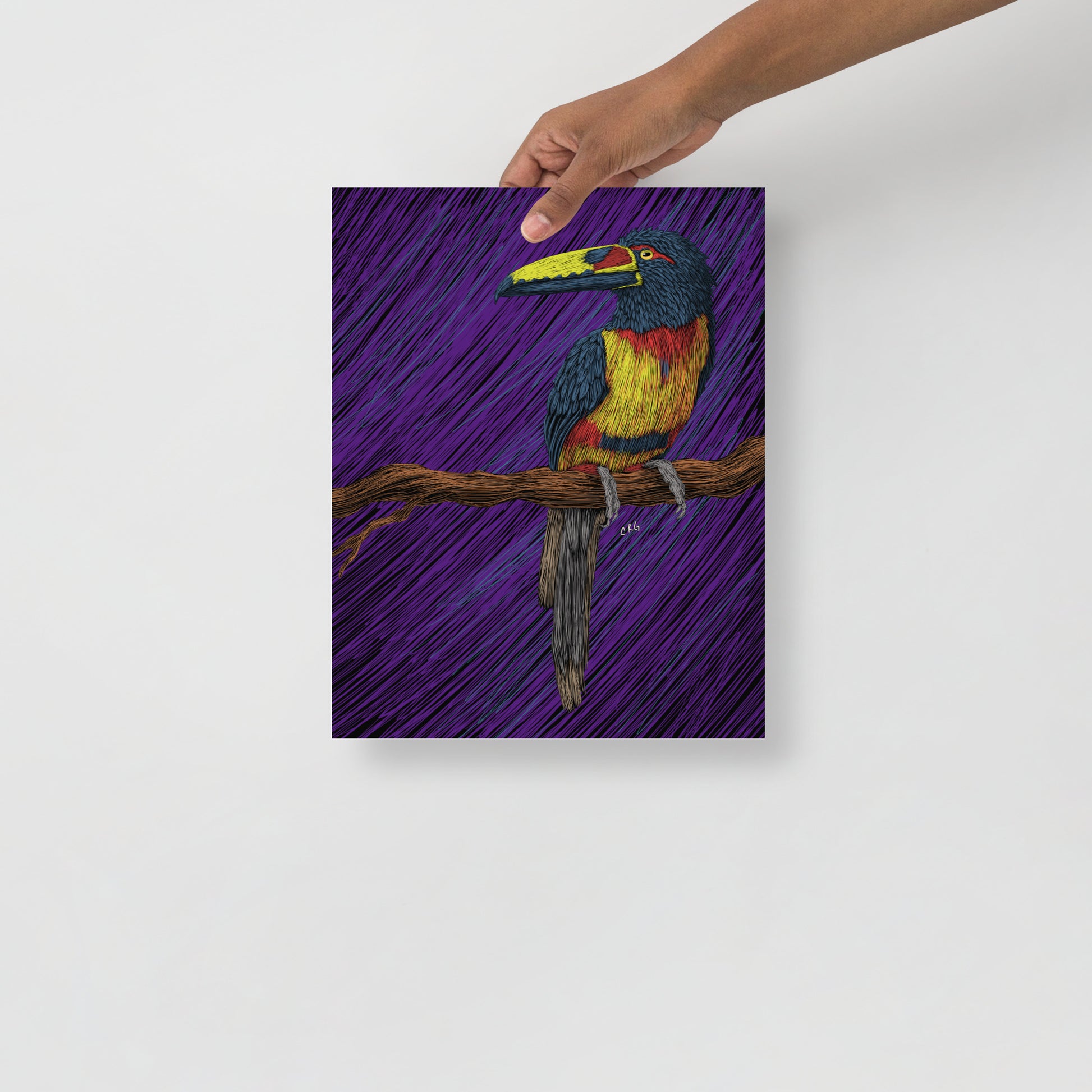 Toucan Art Print