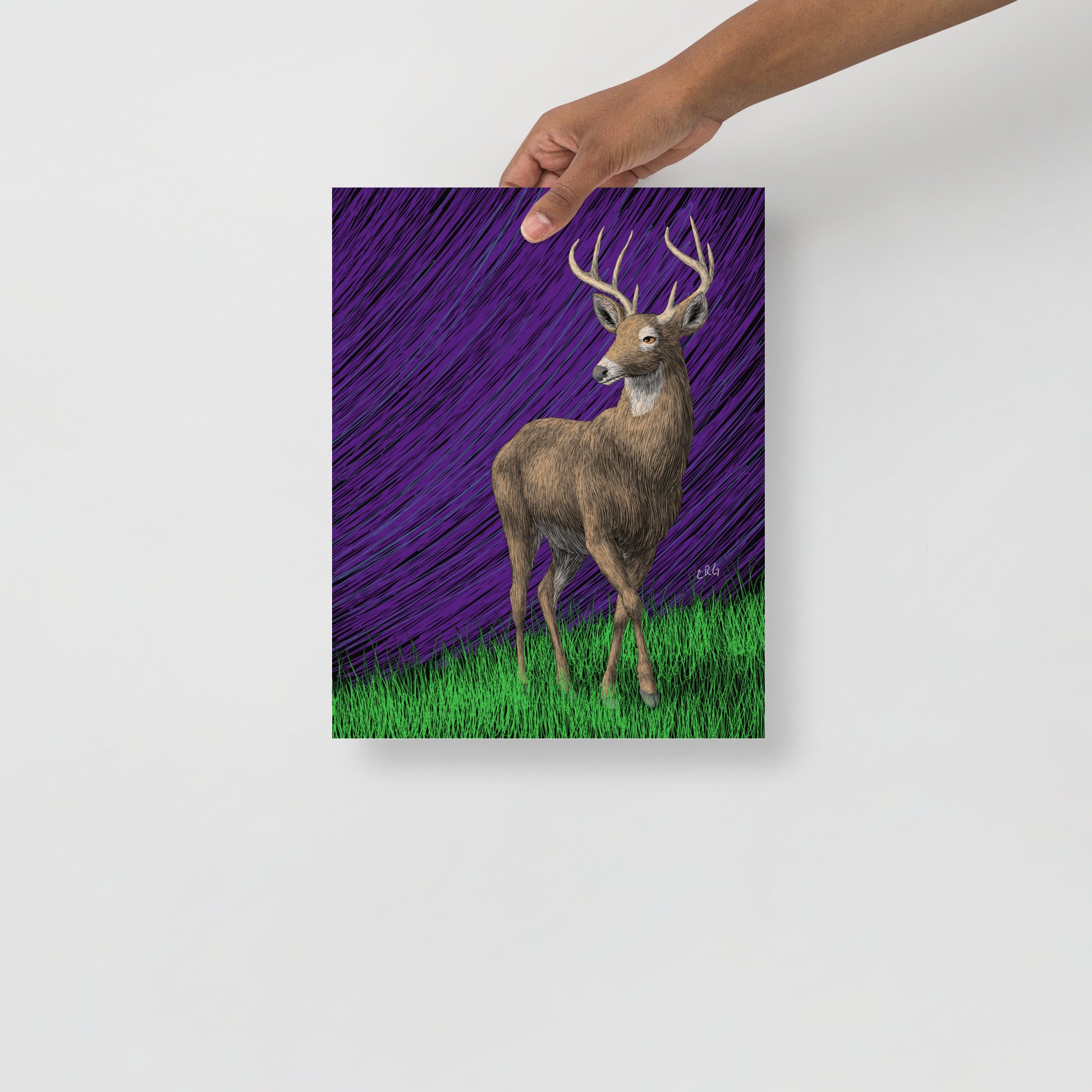 Deer Art Print