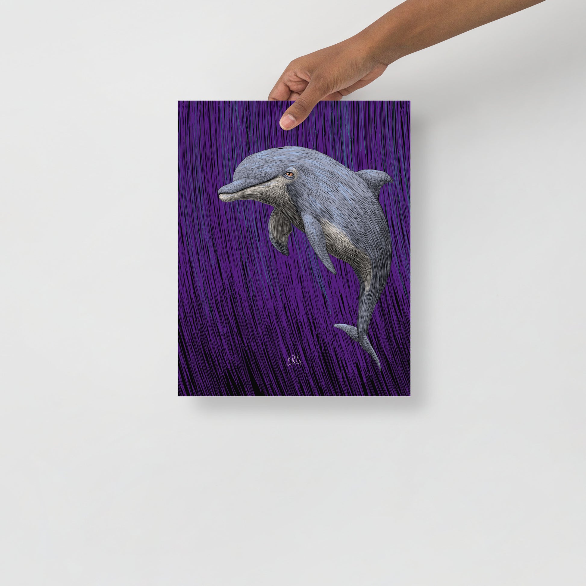 Dolphin Art Print