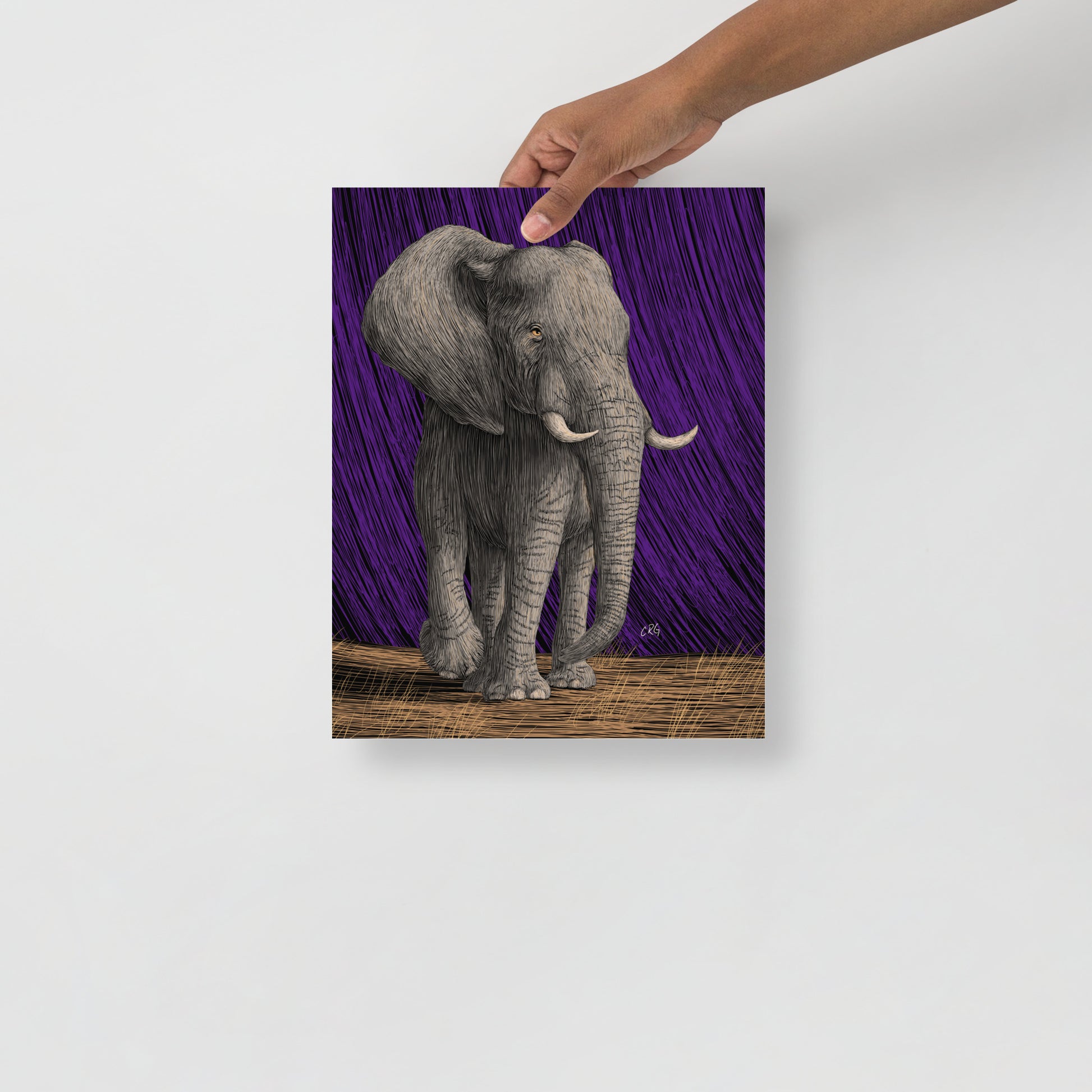 Elephant Art Print