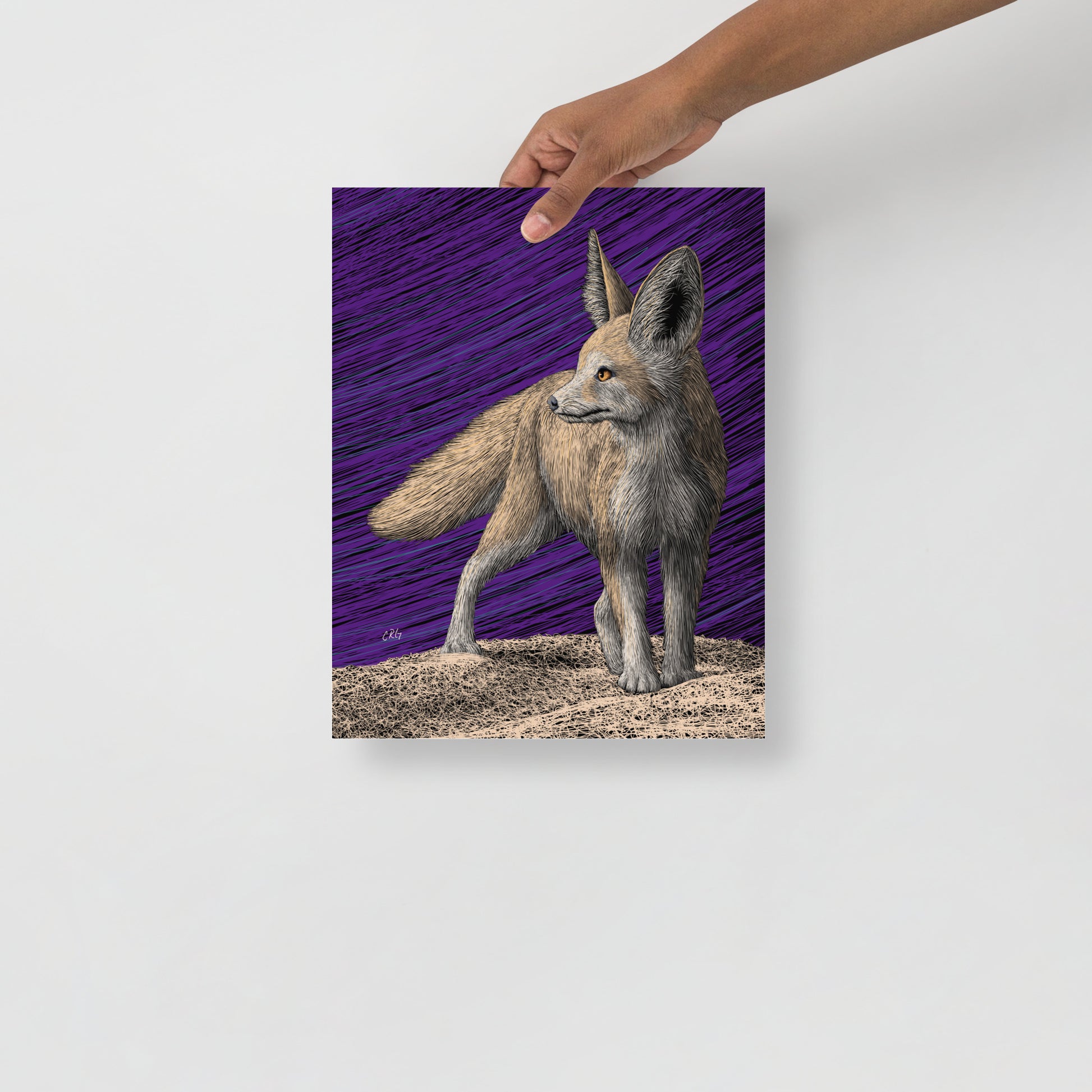 Fennec Fox Art Print