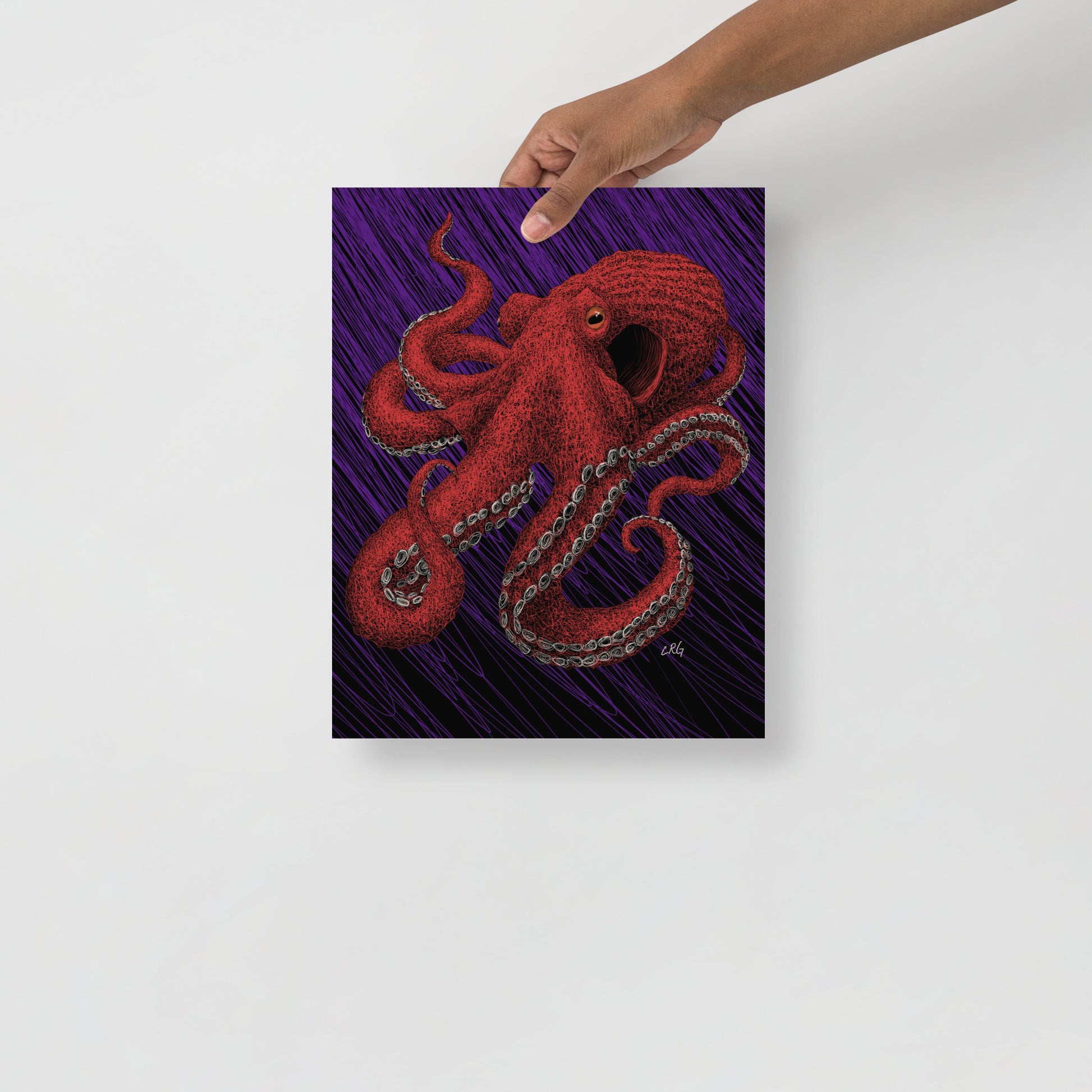 Octopus Art Print