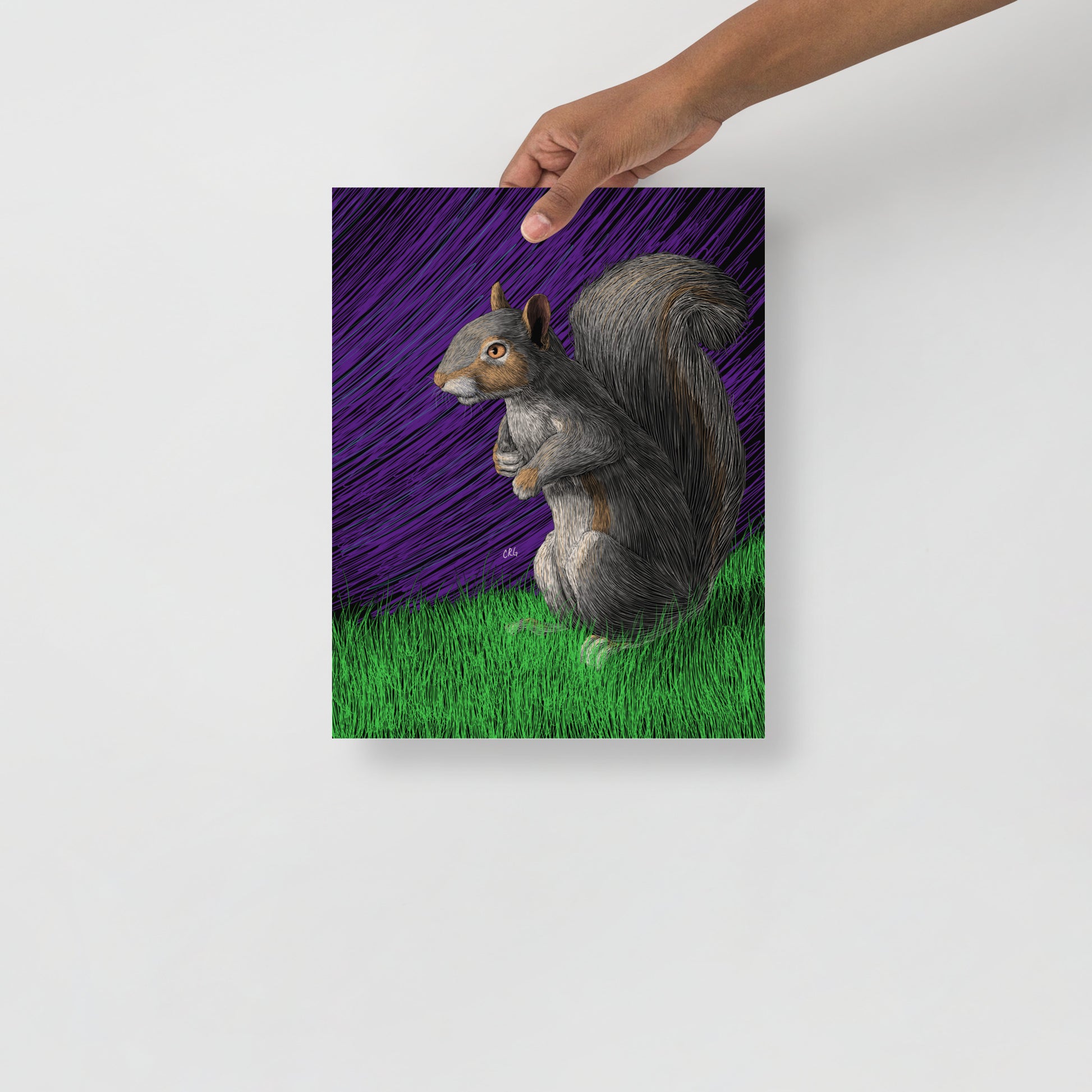 Squirrel Art Print