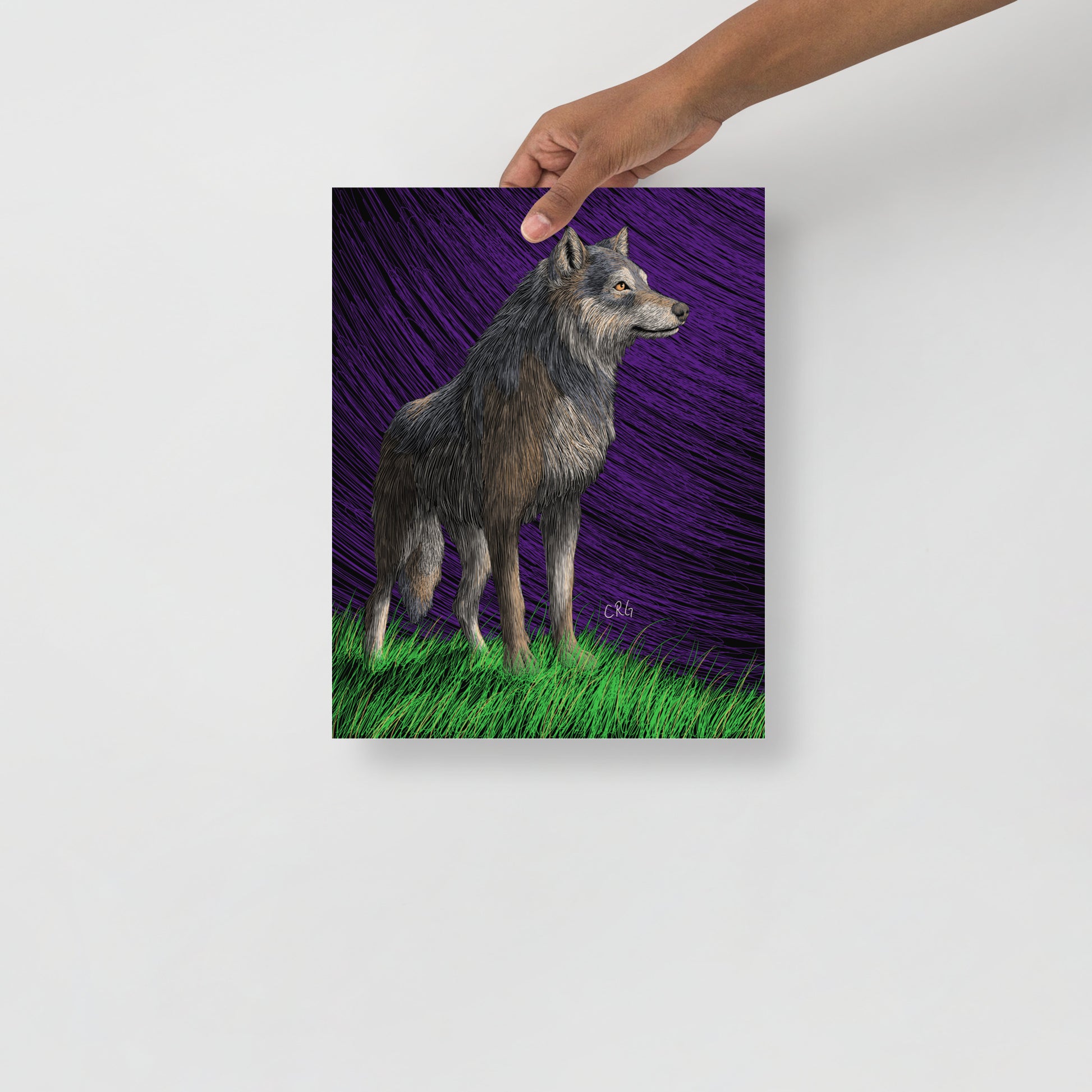 Gray Wolf Art Print