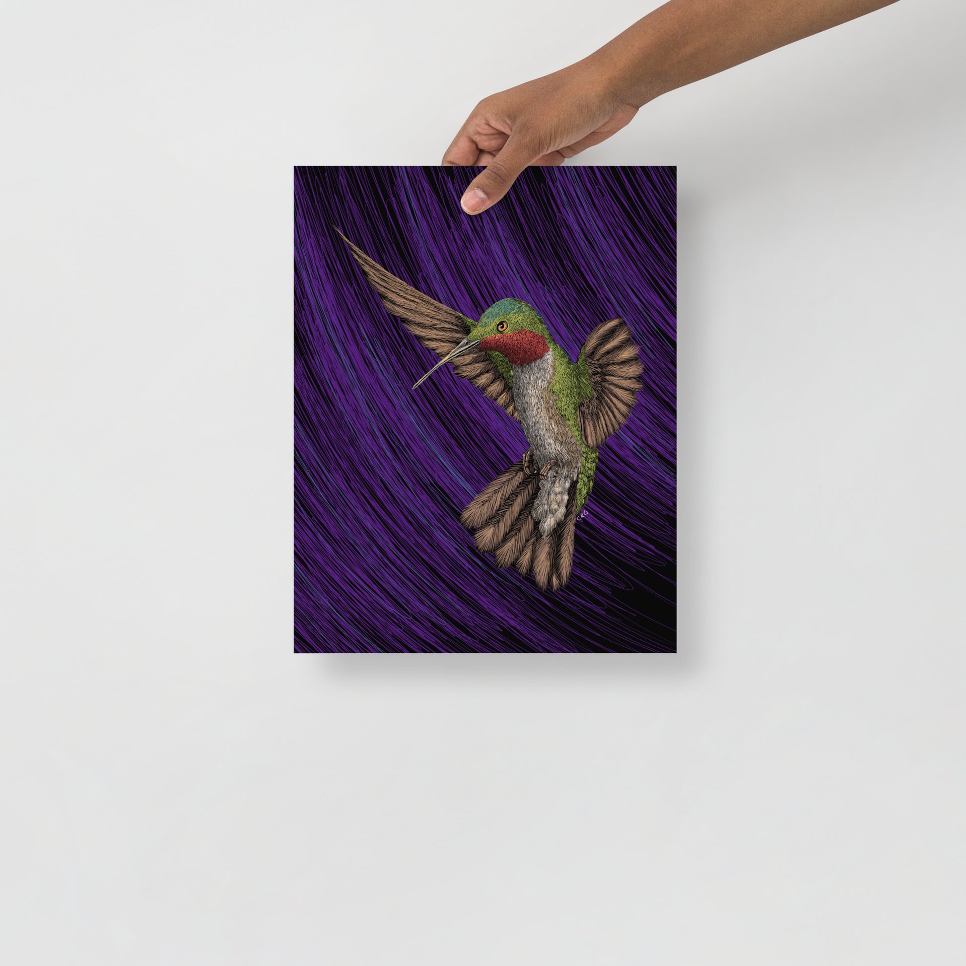 Hummingbird Art Print
