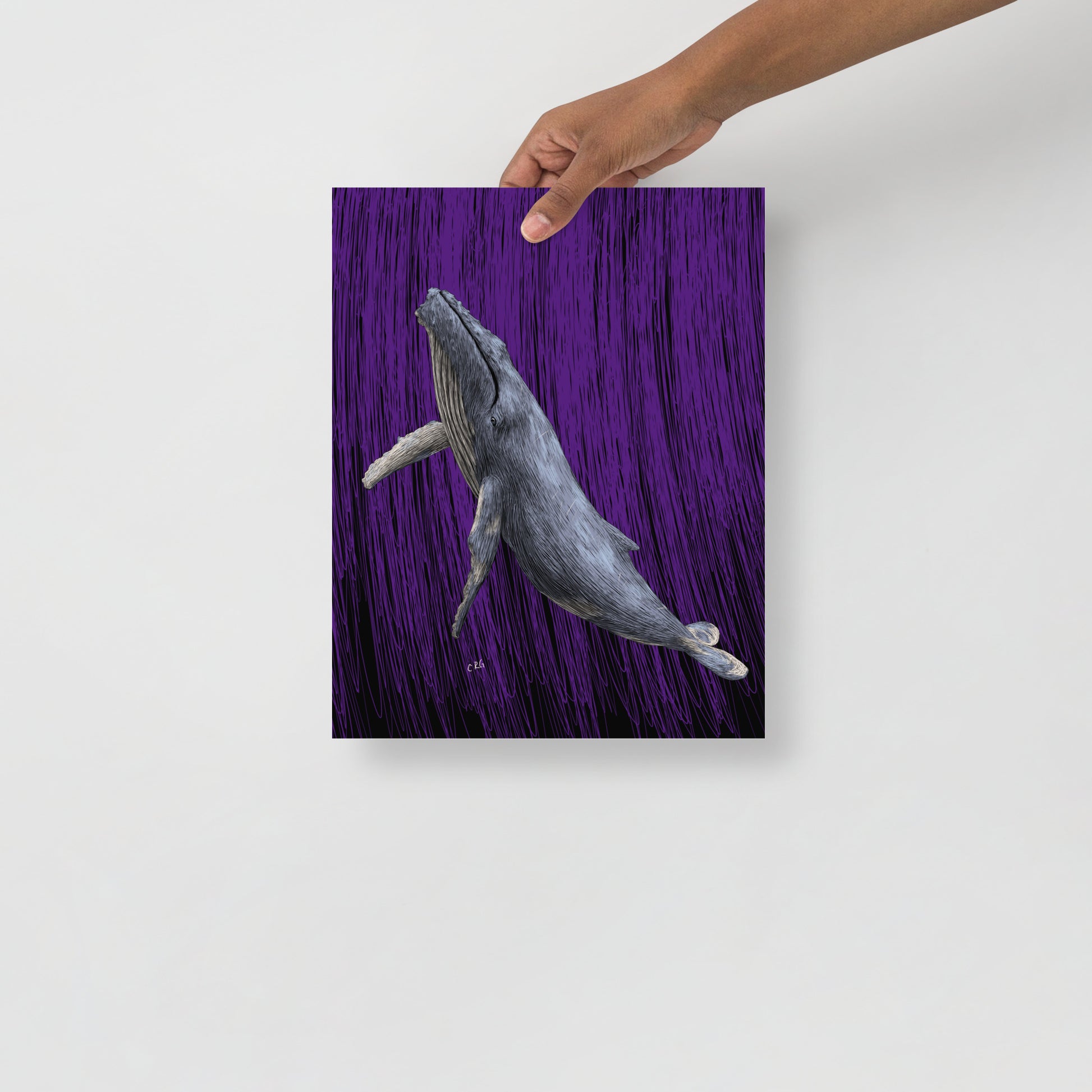 Whale Art Print