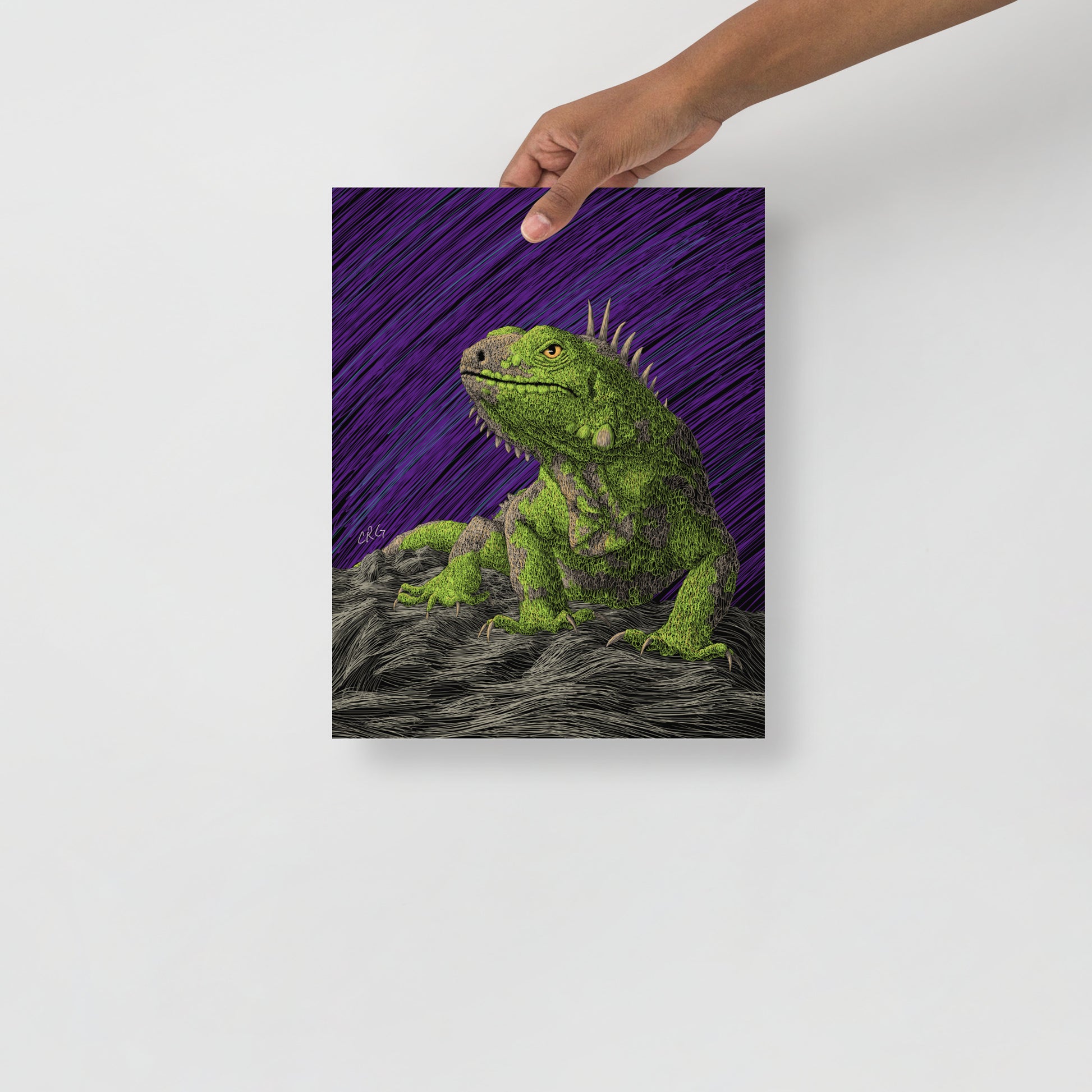 Iguana Art Print