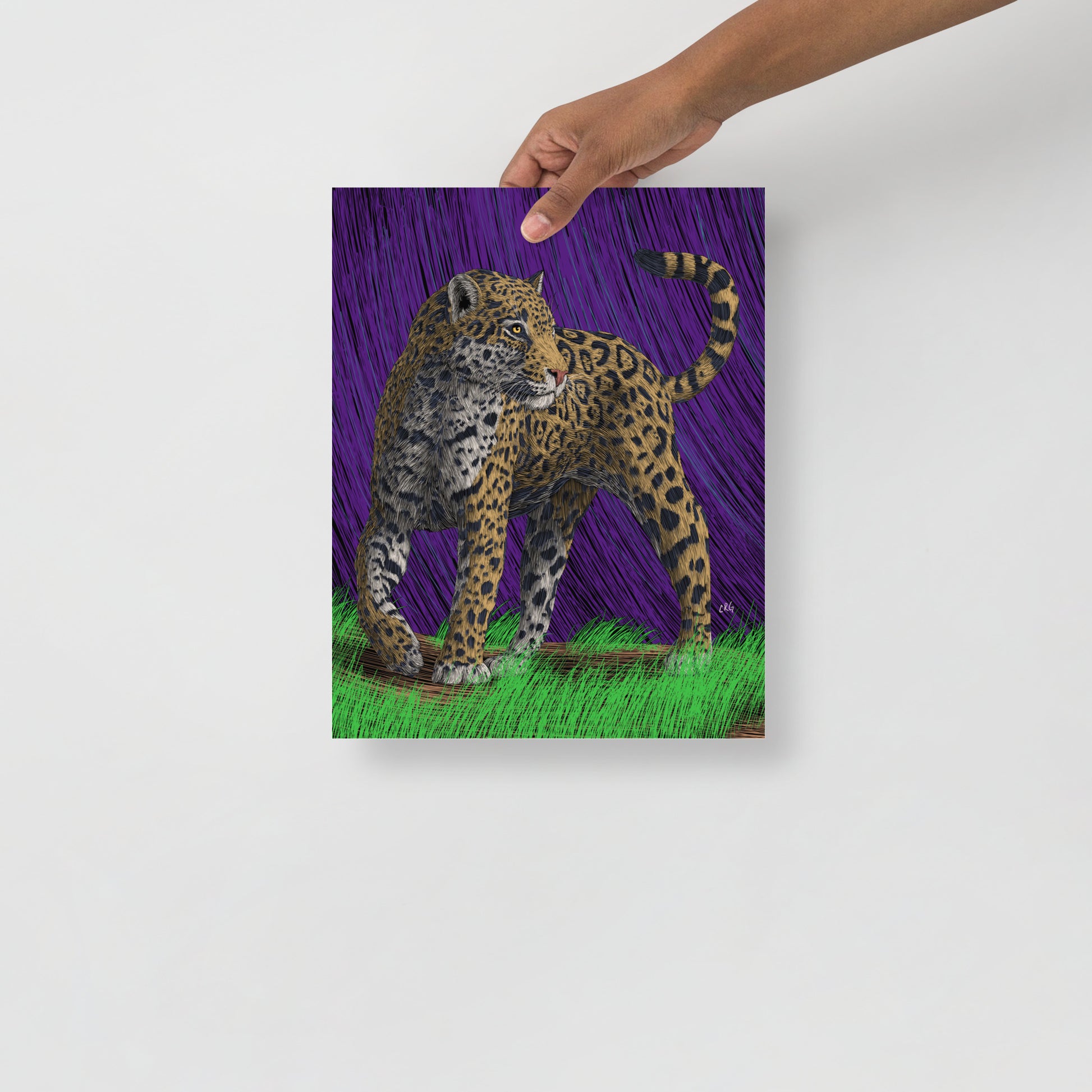 Jaguar Art Print