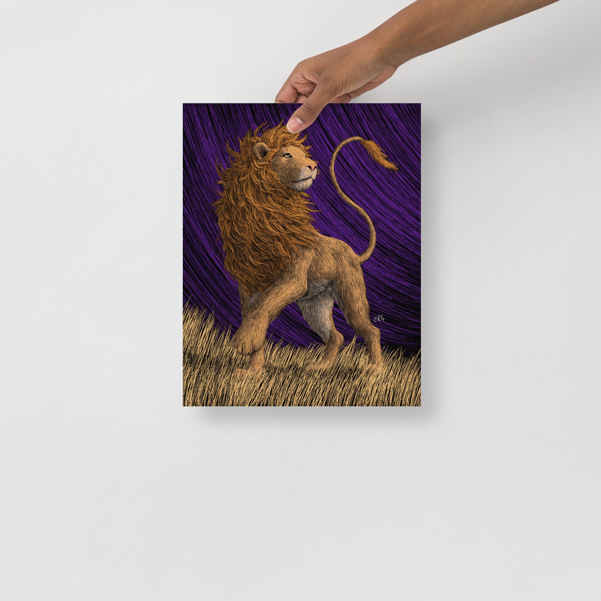 Lion Art Print
