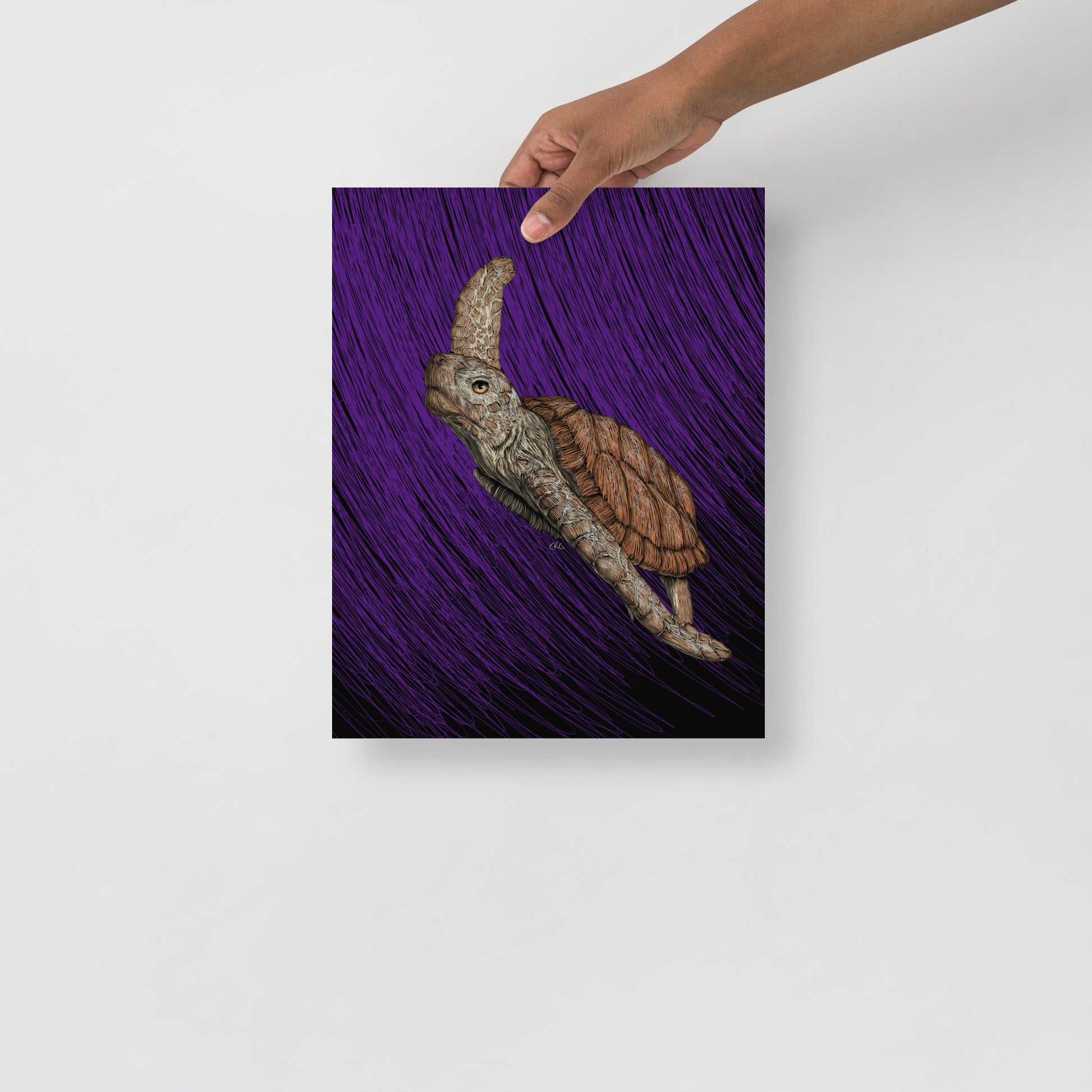 Turtle Art Print
