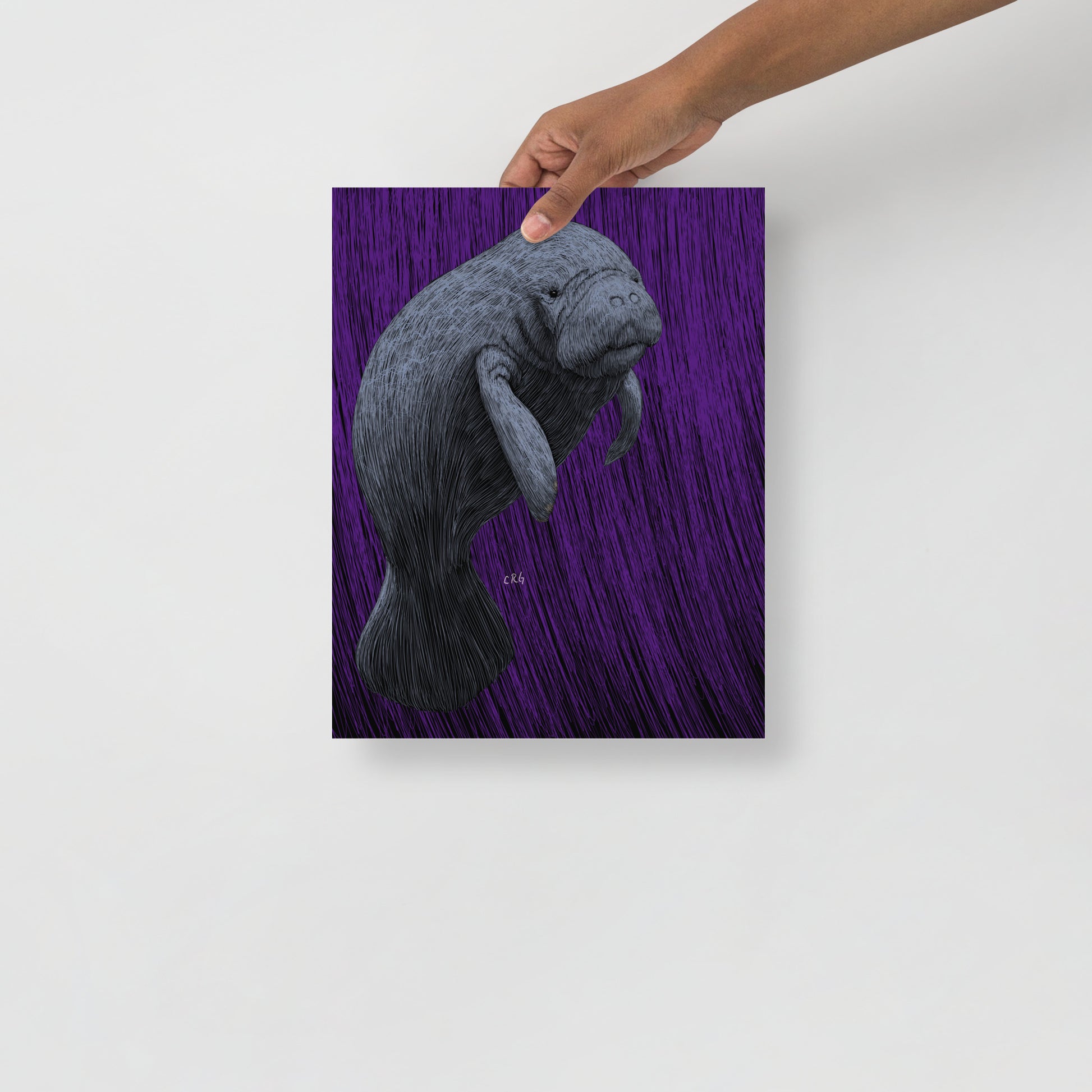 Manatee Art Print