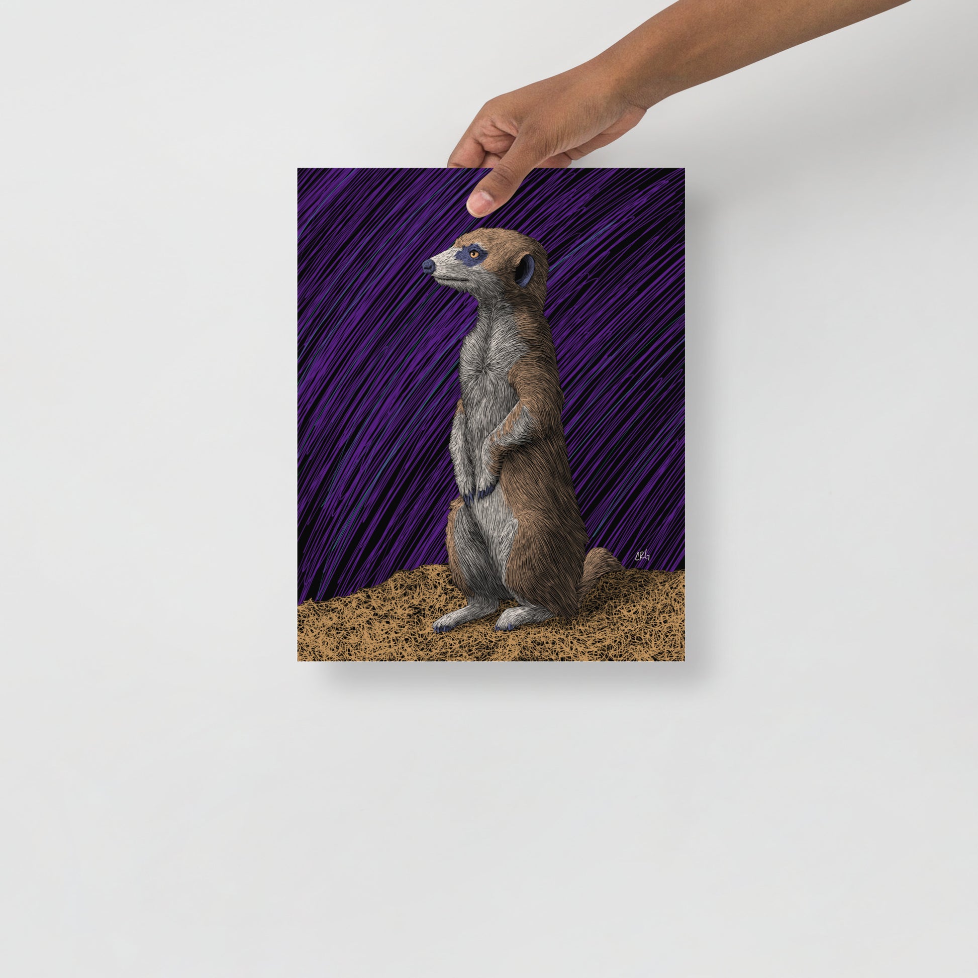Meerkat Art Print