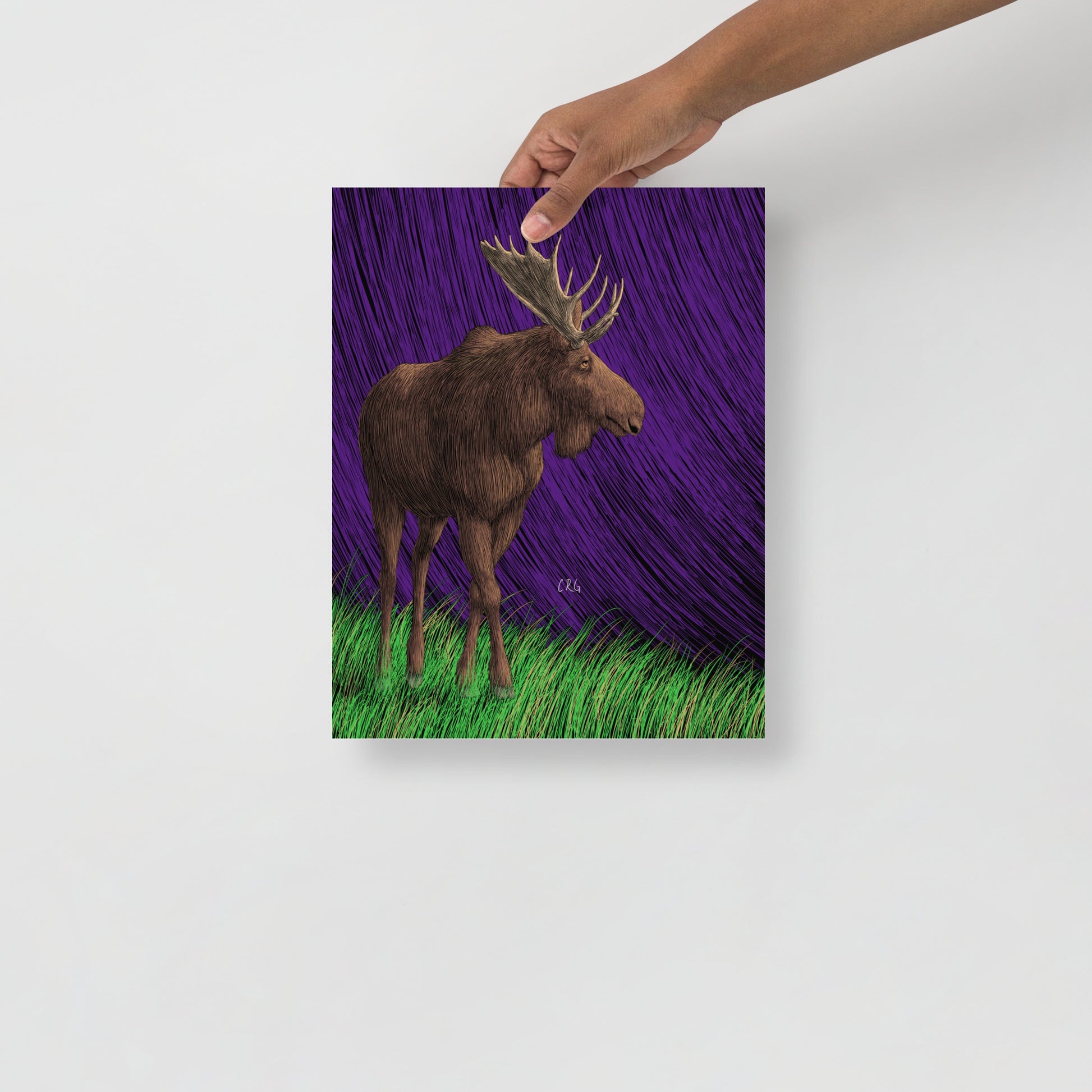 Moose Art Print