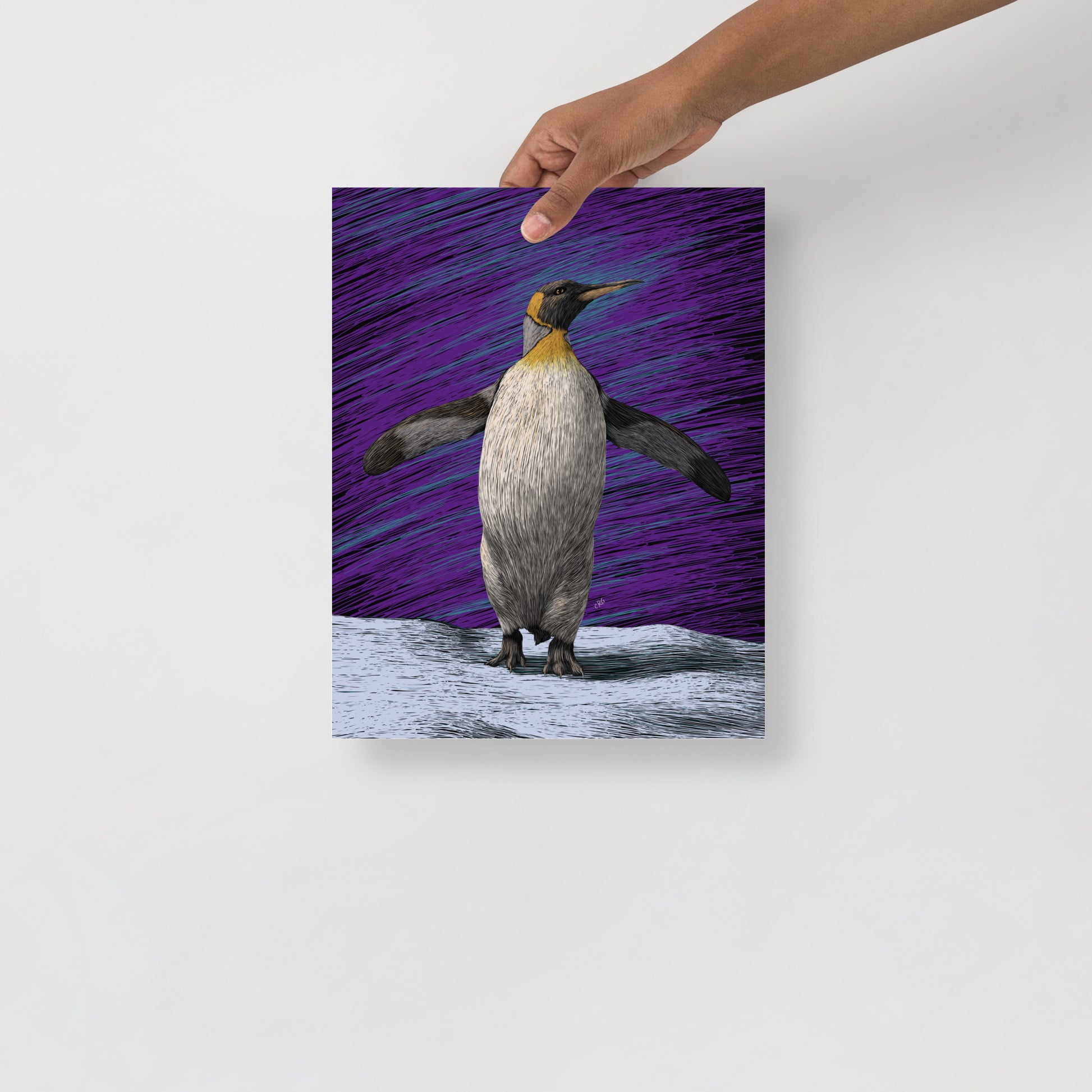 Penguin Art Print