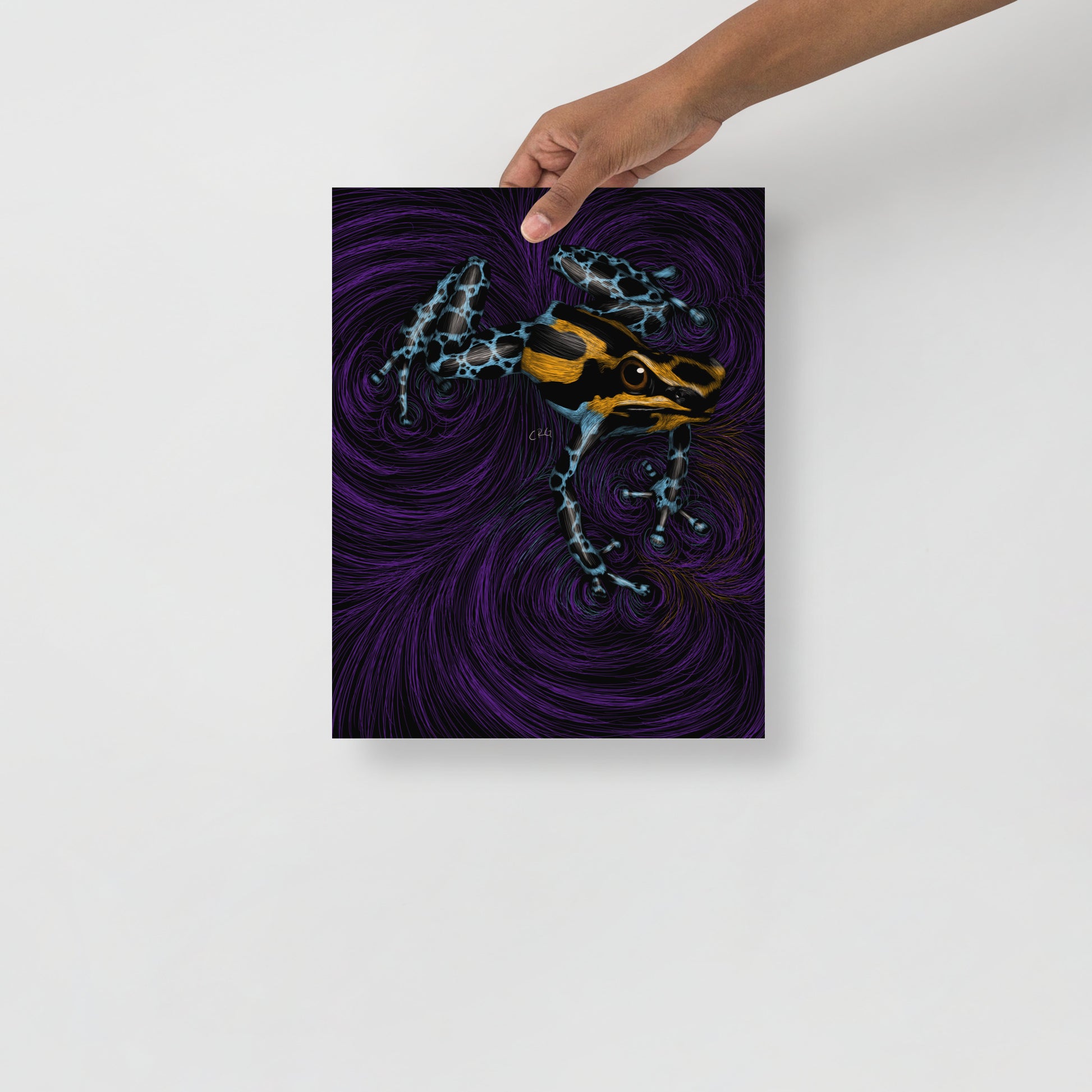 Frog Art Print
