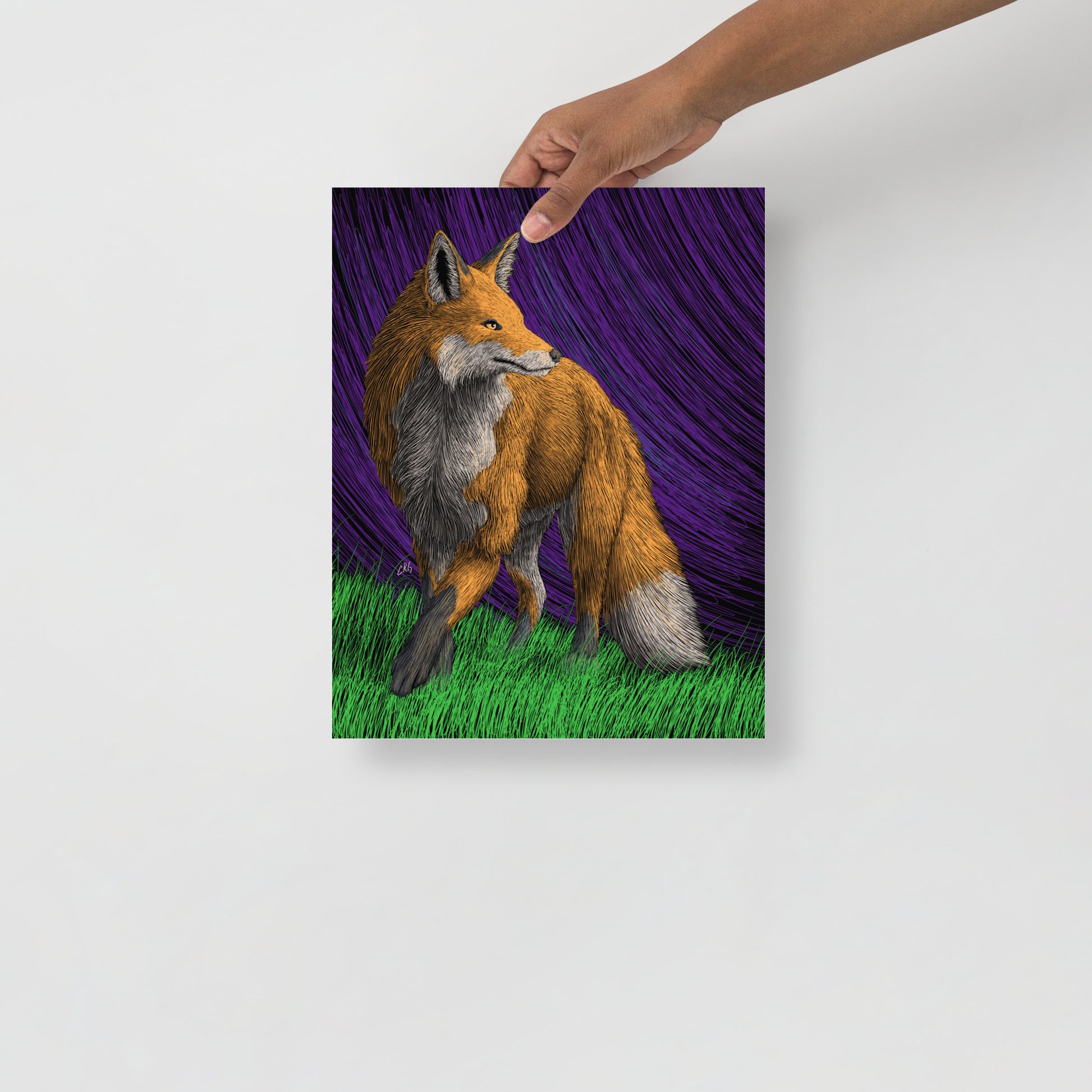 Red Fox Art Print