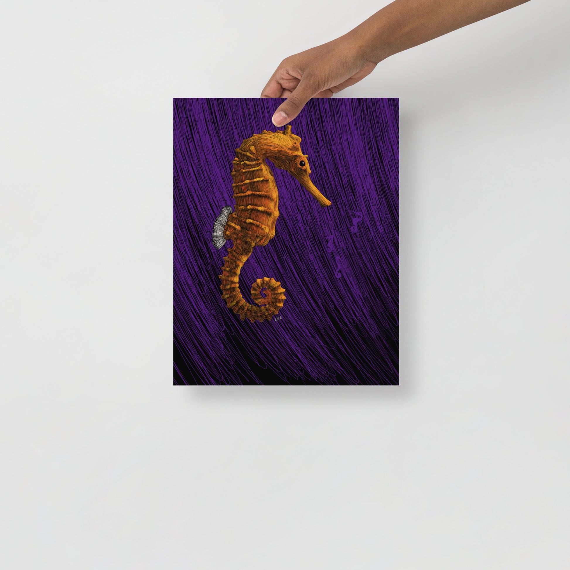 Seahorse Art Print