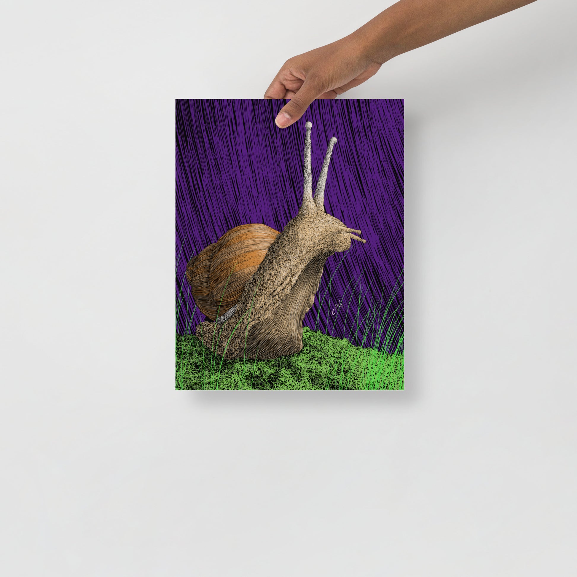 Snail Art Print