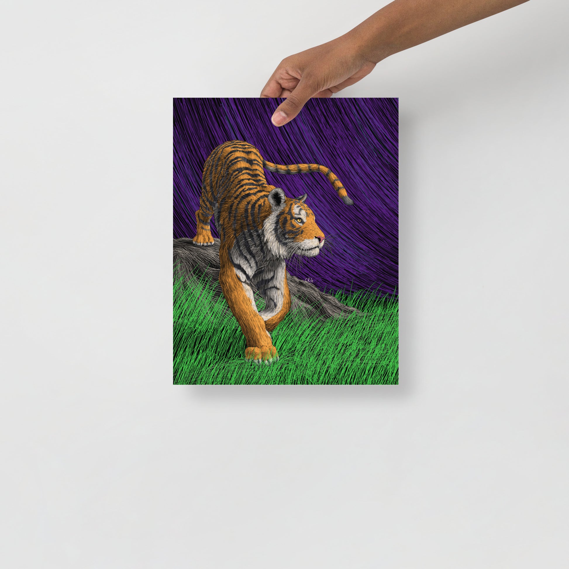 Tiger Art Print