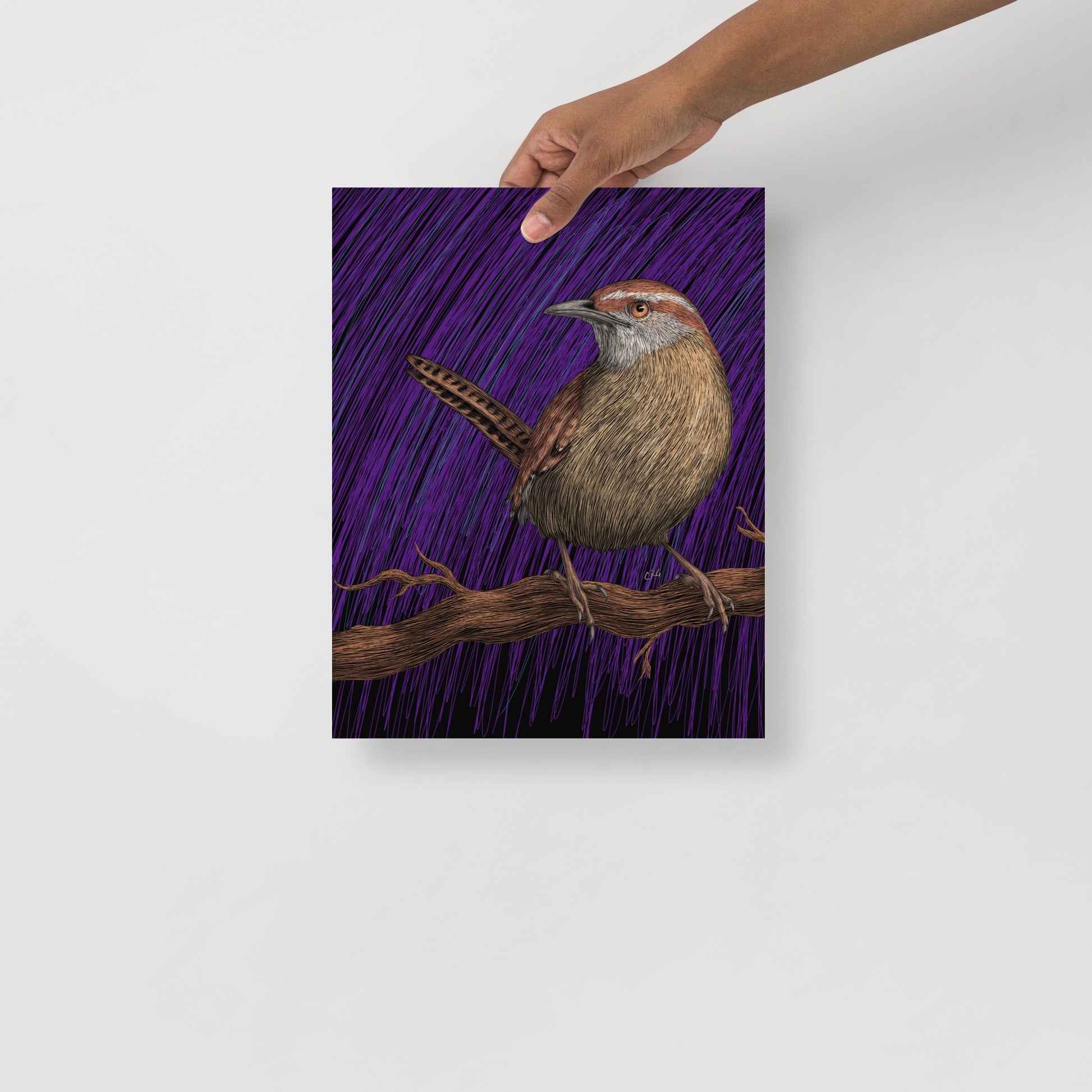 Wren Art Print