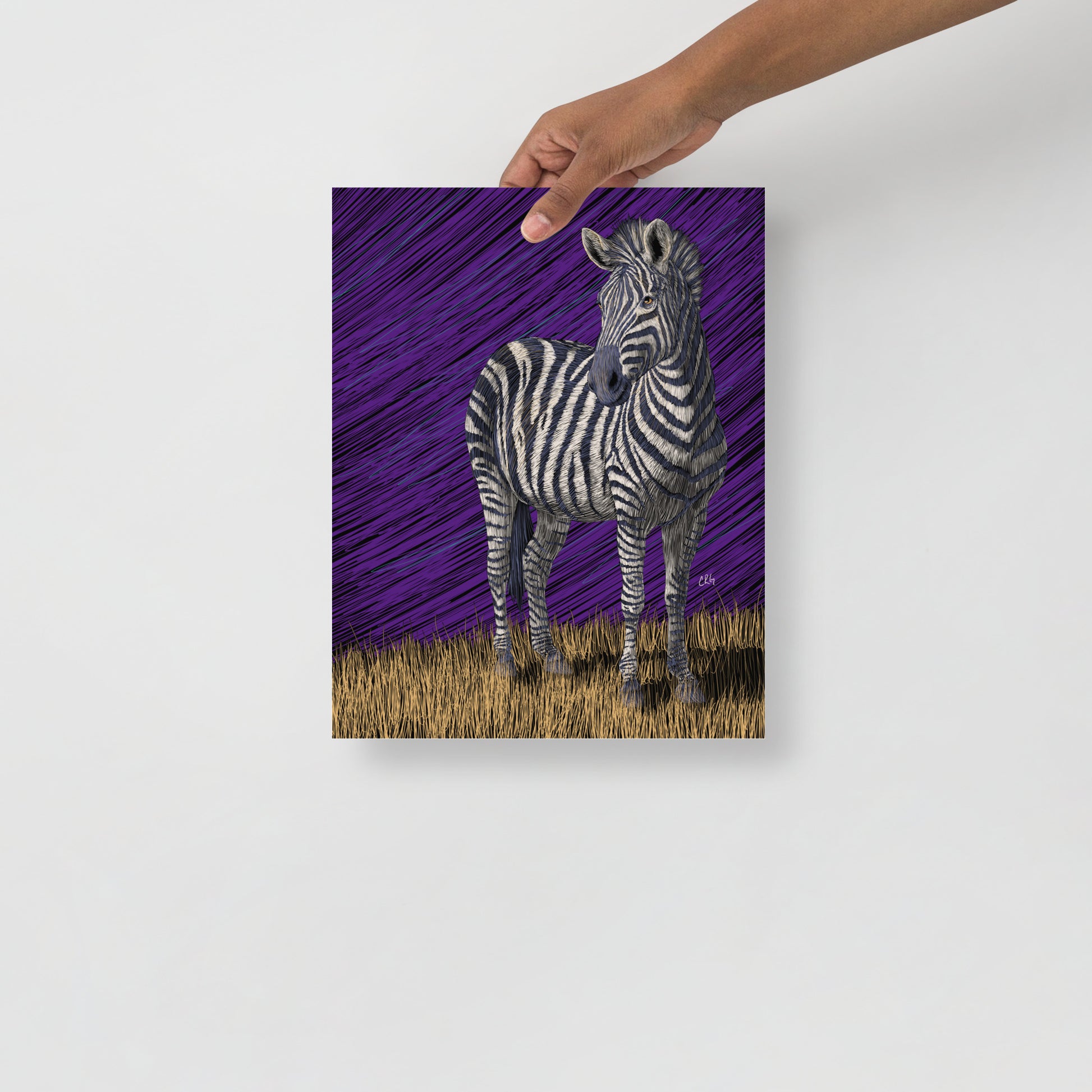 Zebra Art Print