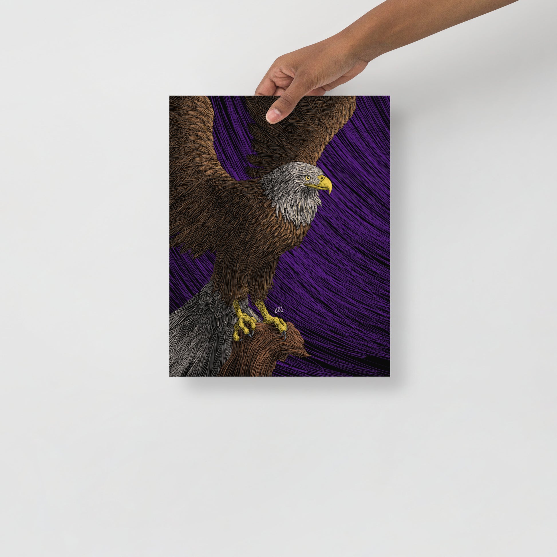 Bald Eagle Art Print