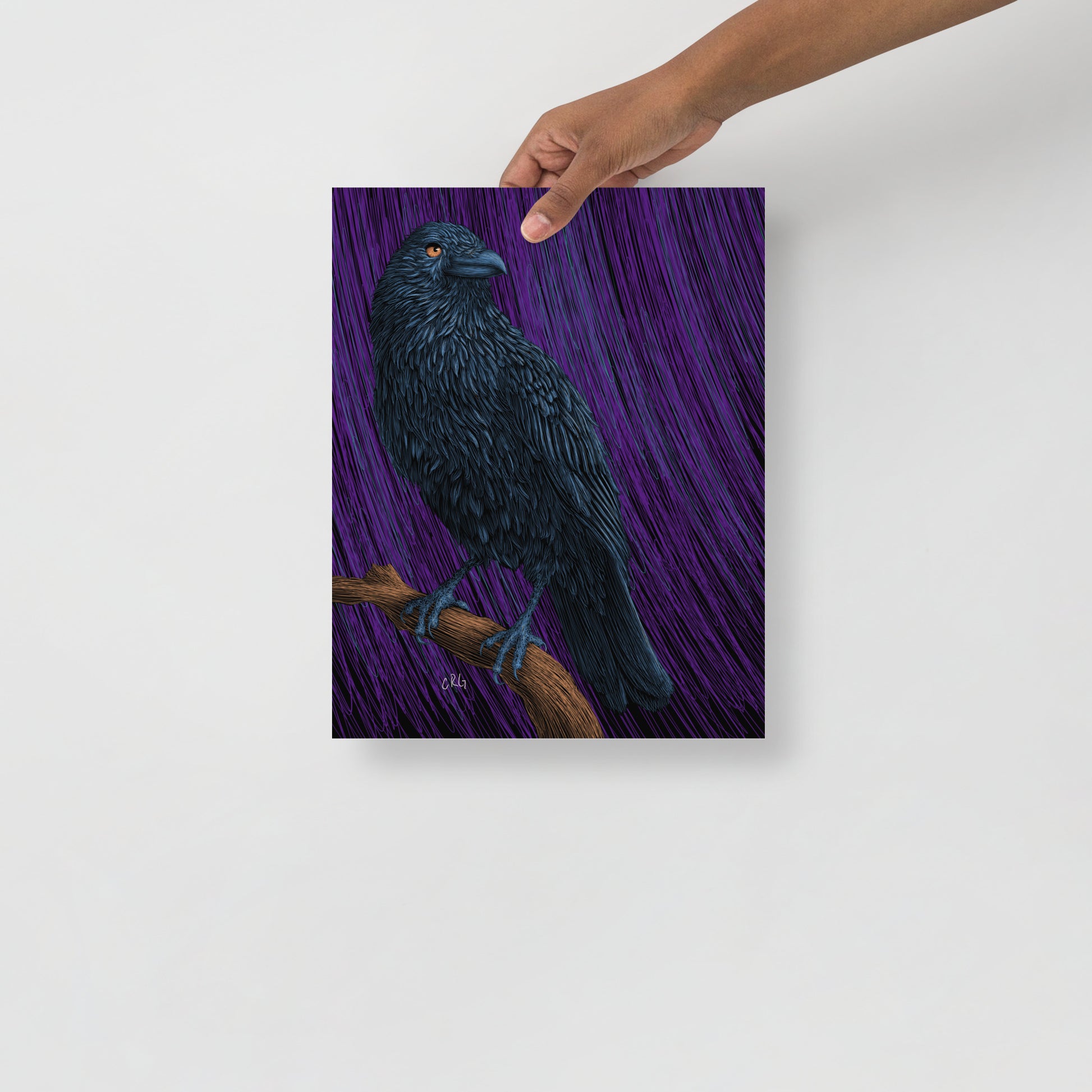 Raven Art Print