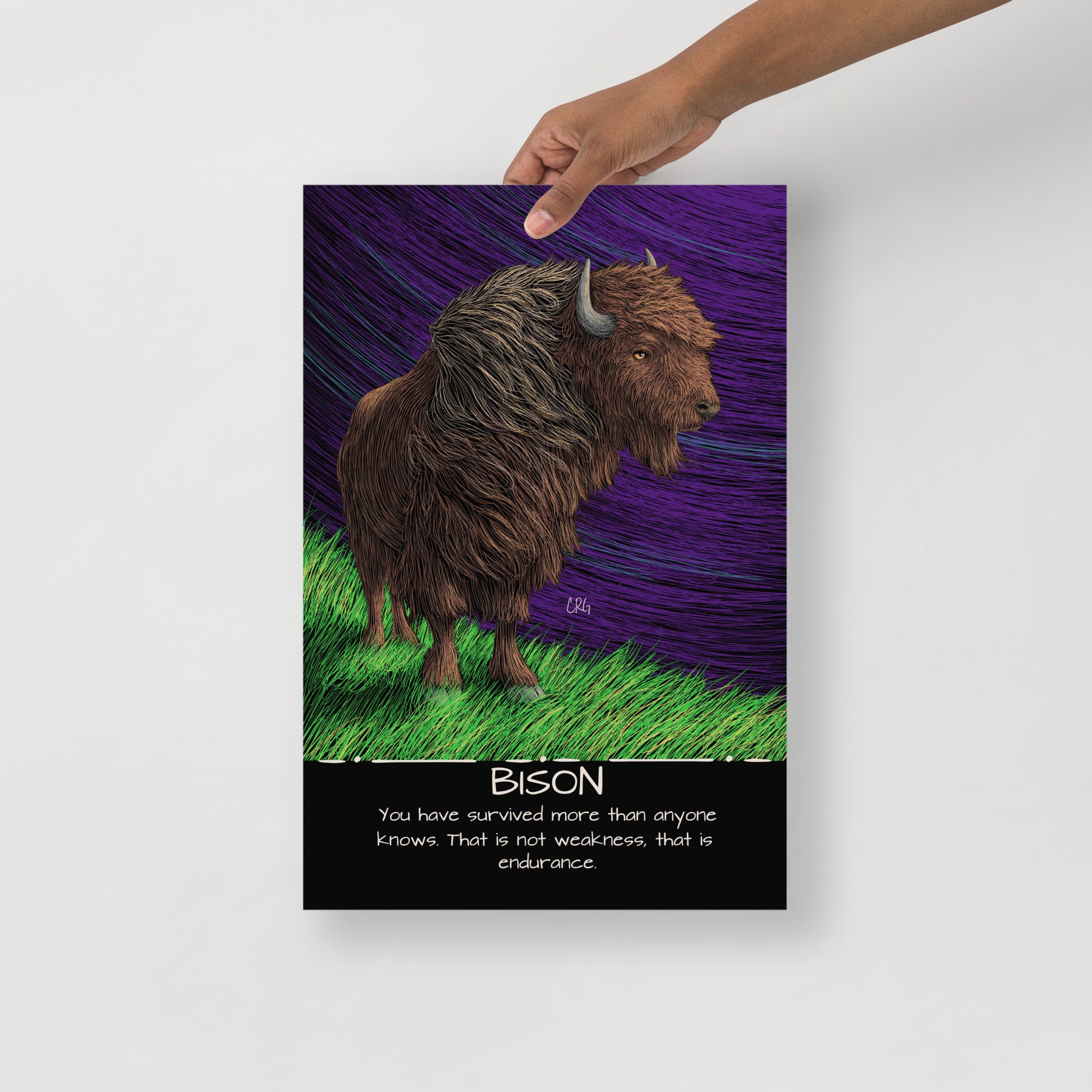 Bison Art Print