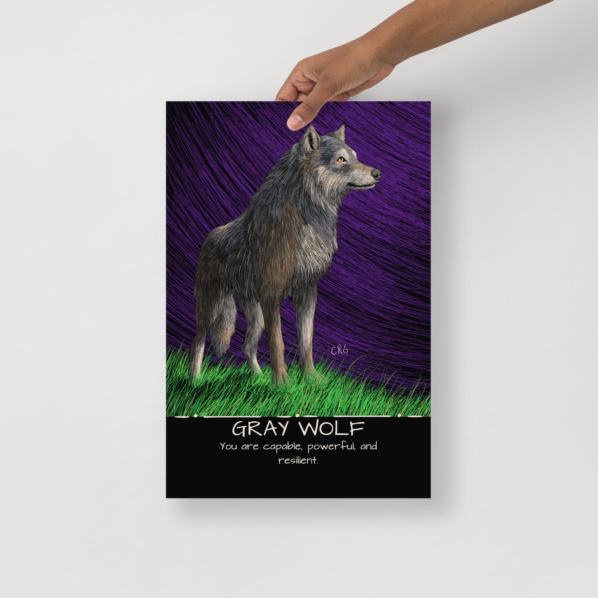 Gray Wolf Art Print