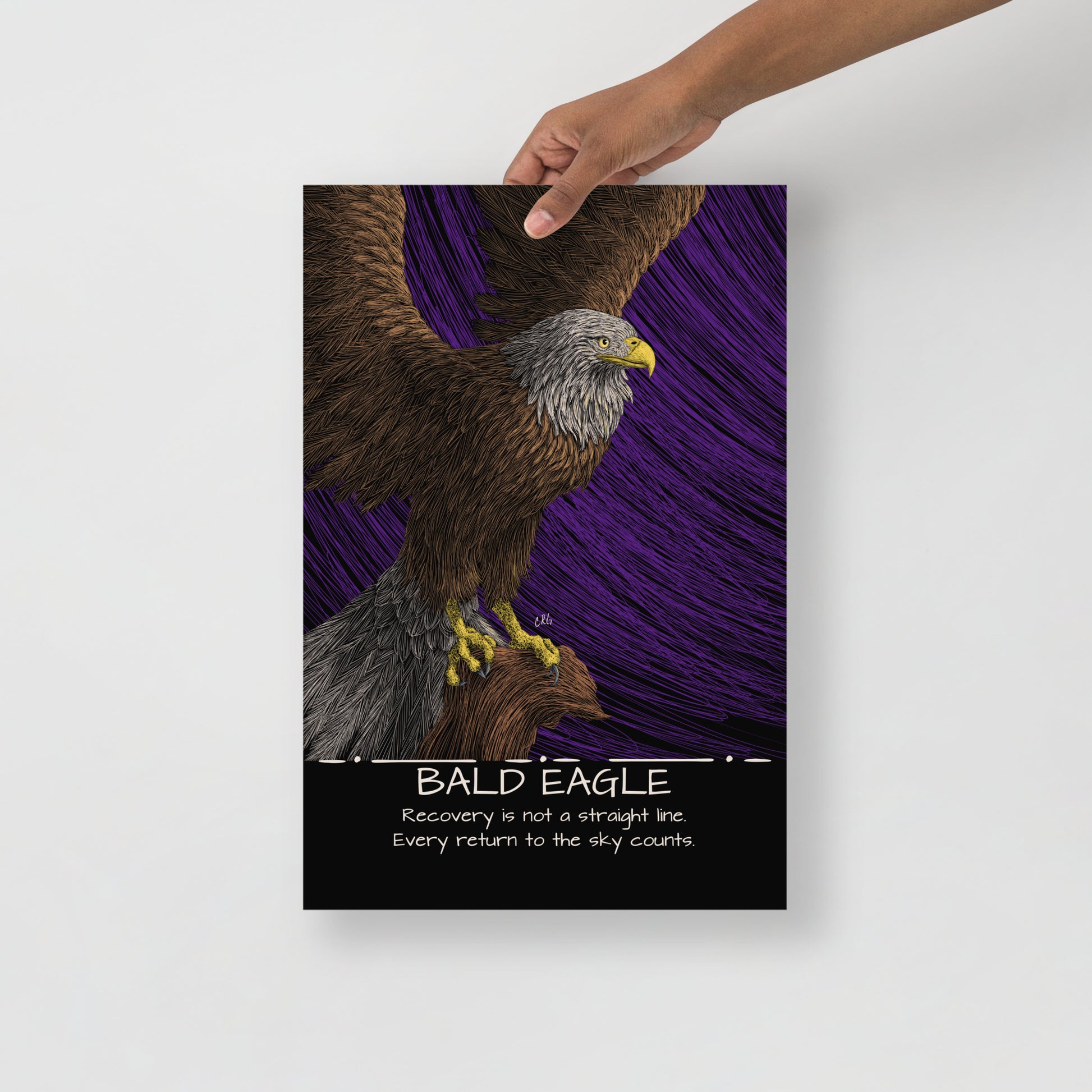 Bald Eagle Art Print