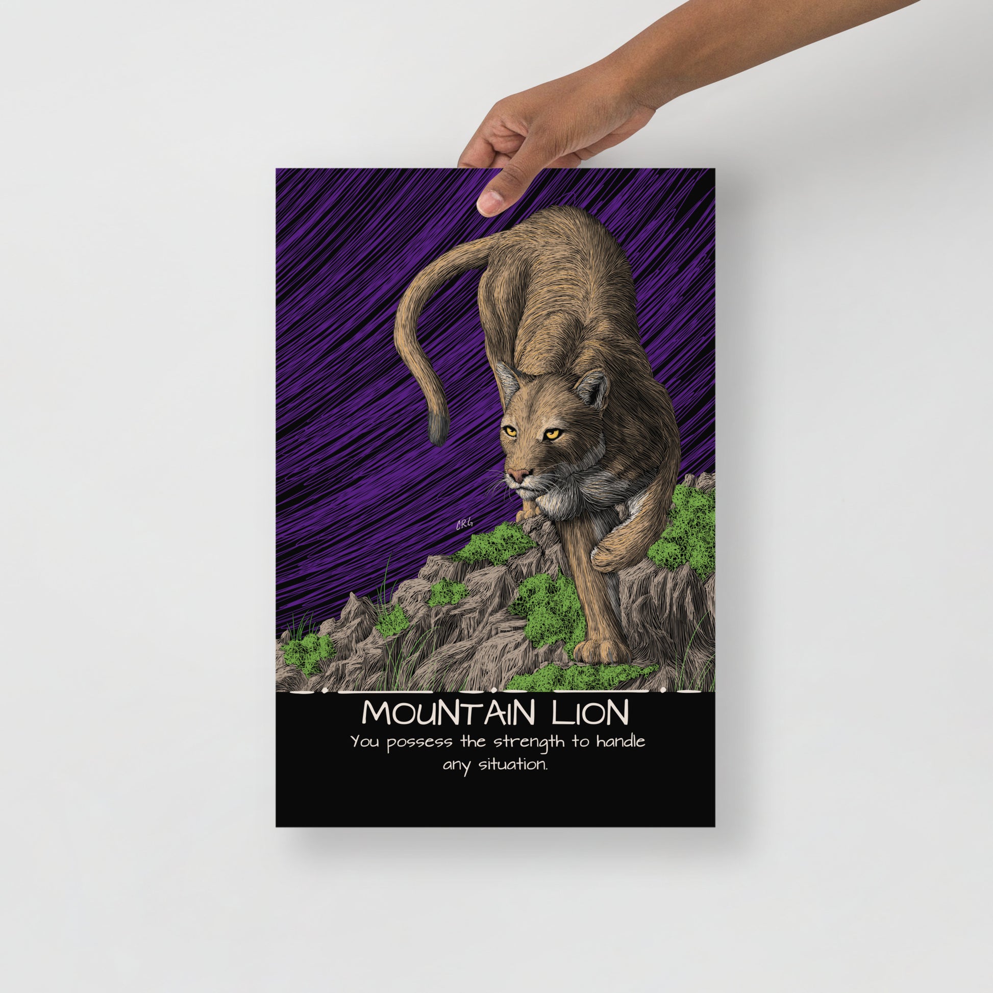 Mountain Lion Art Print