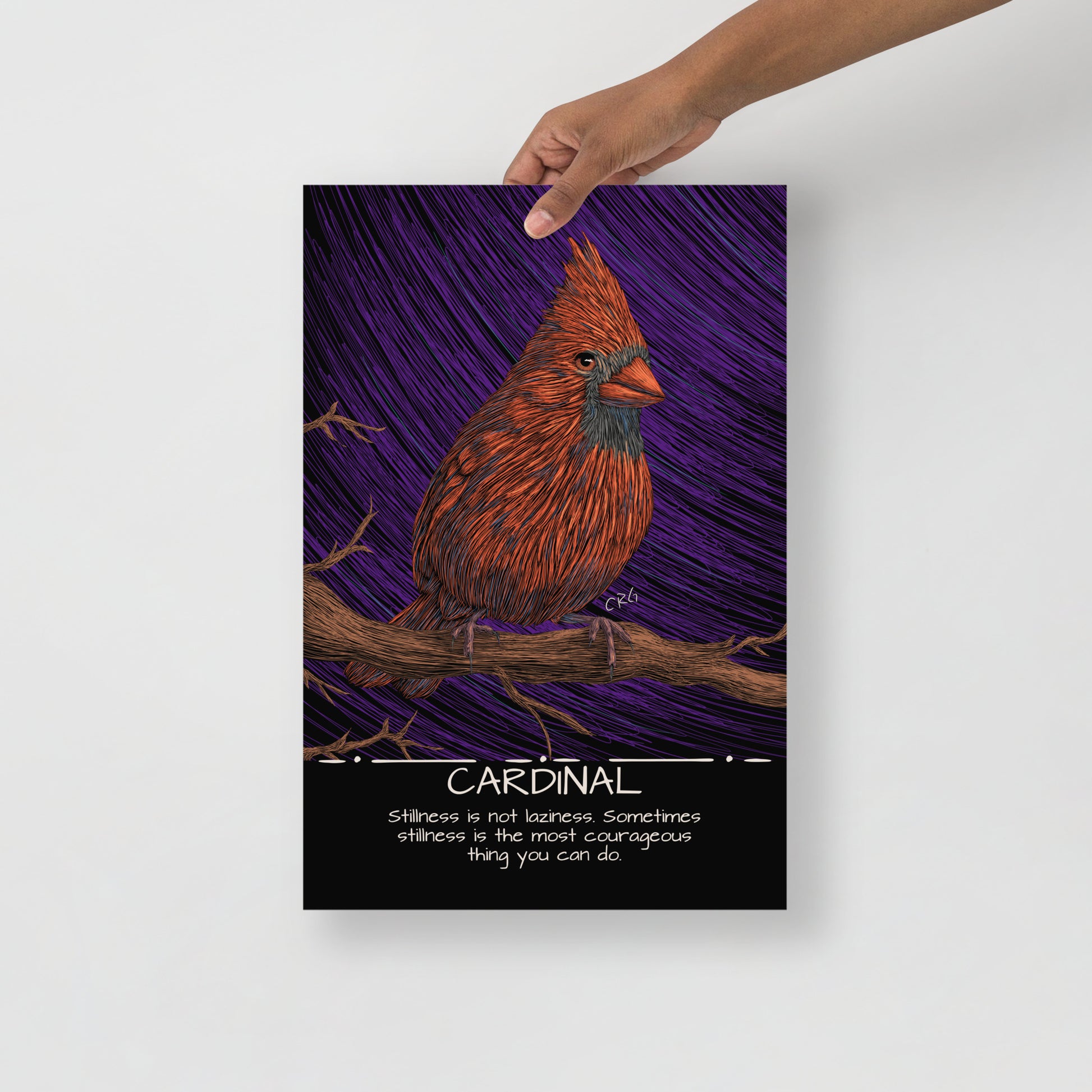 Cardinal Art Print