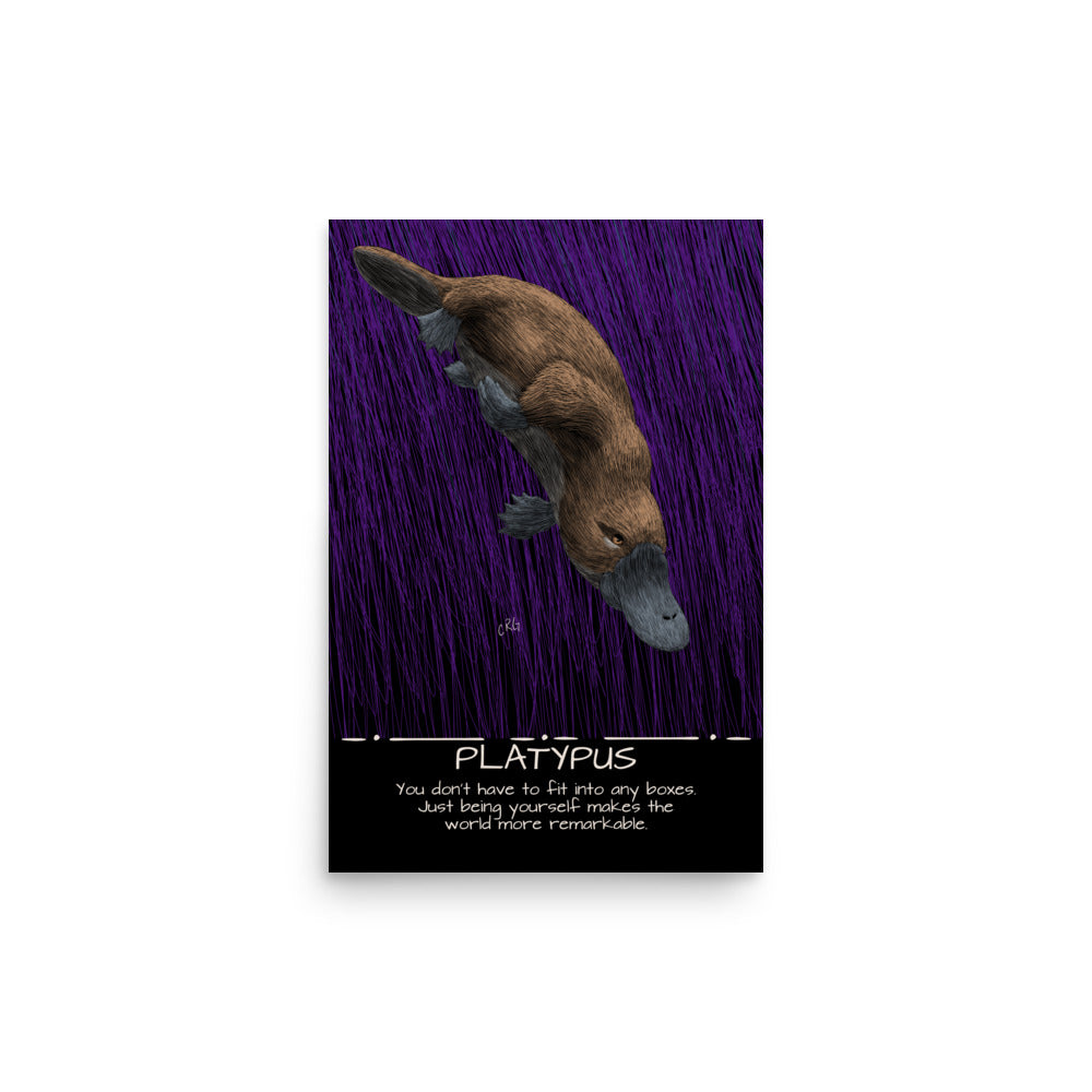 Platypus Art Print