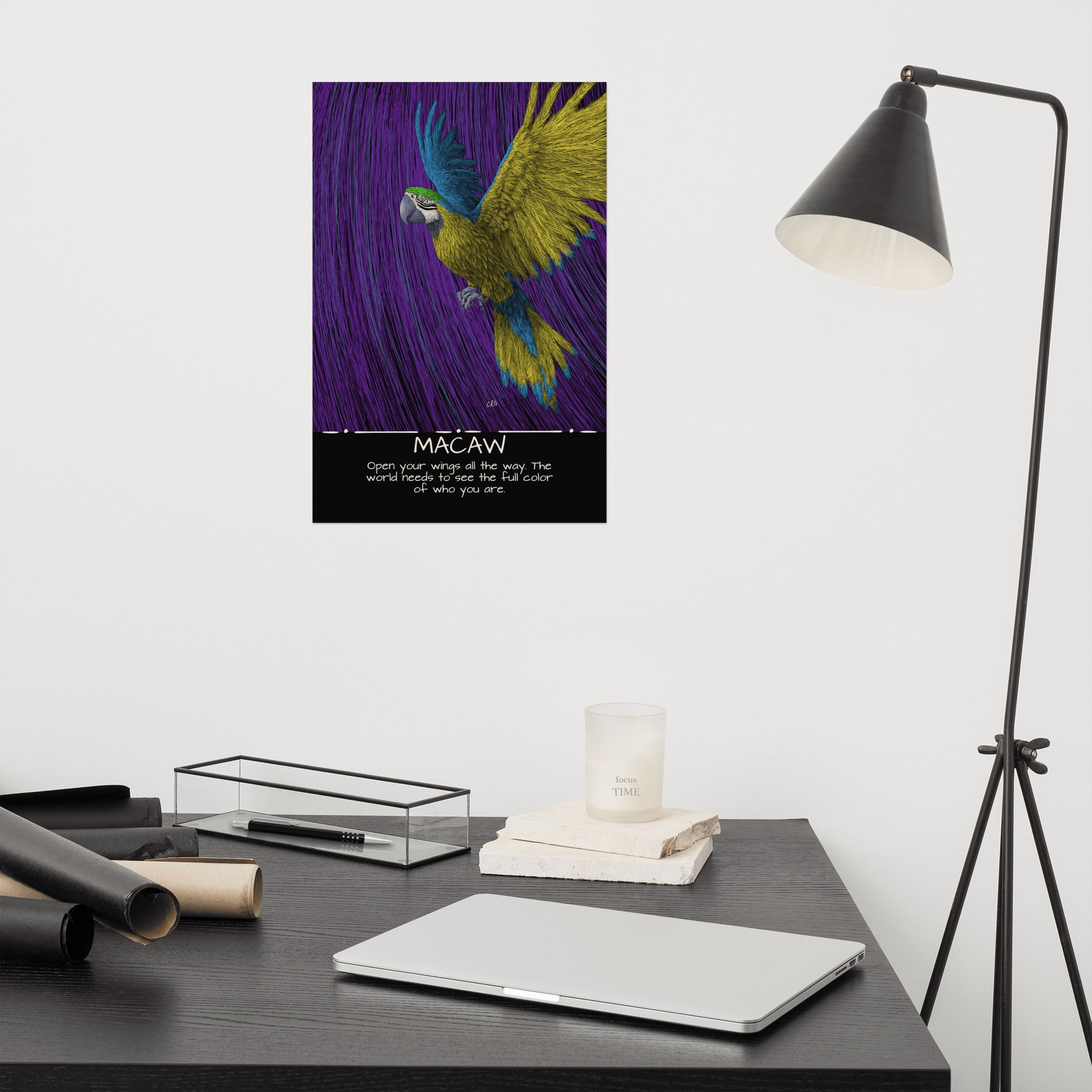 Macaw Art Print