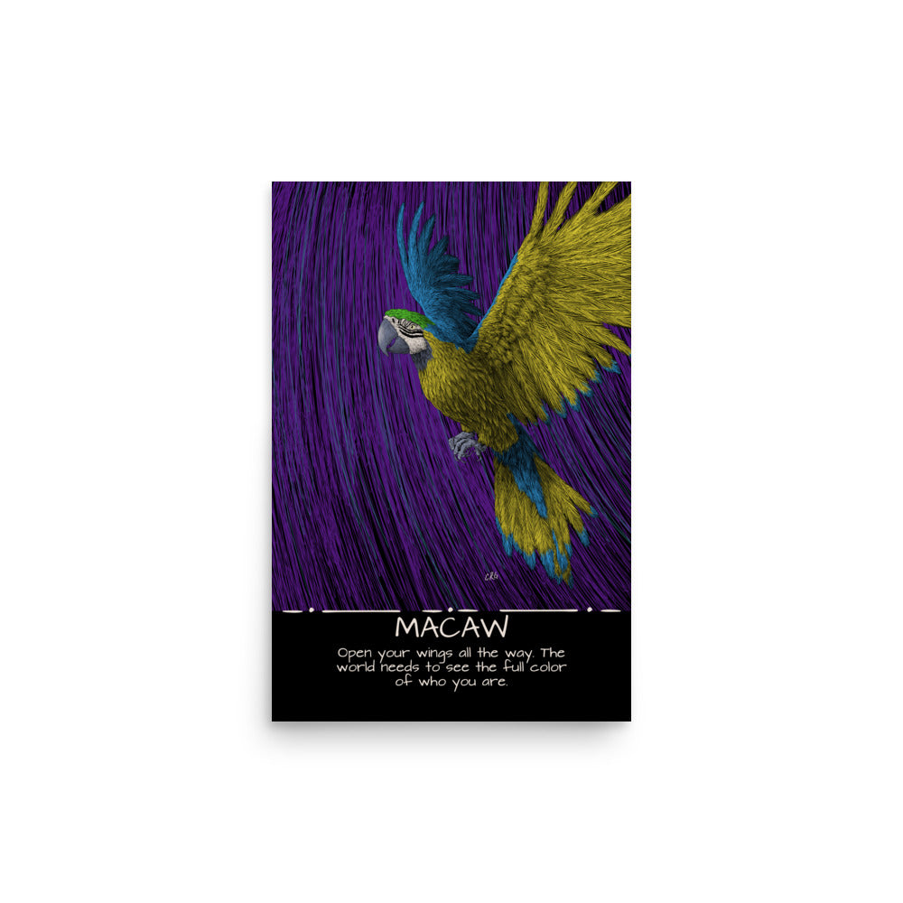 Macaw Art Print