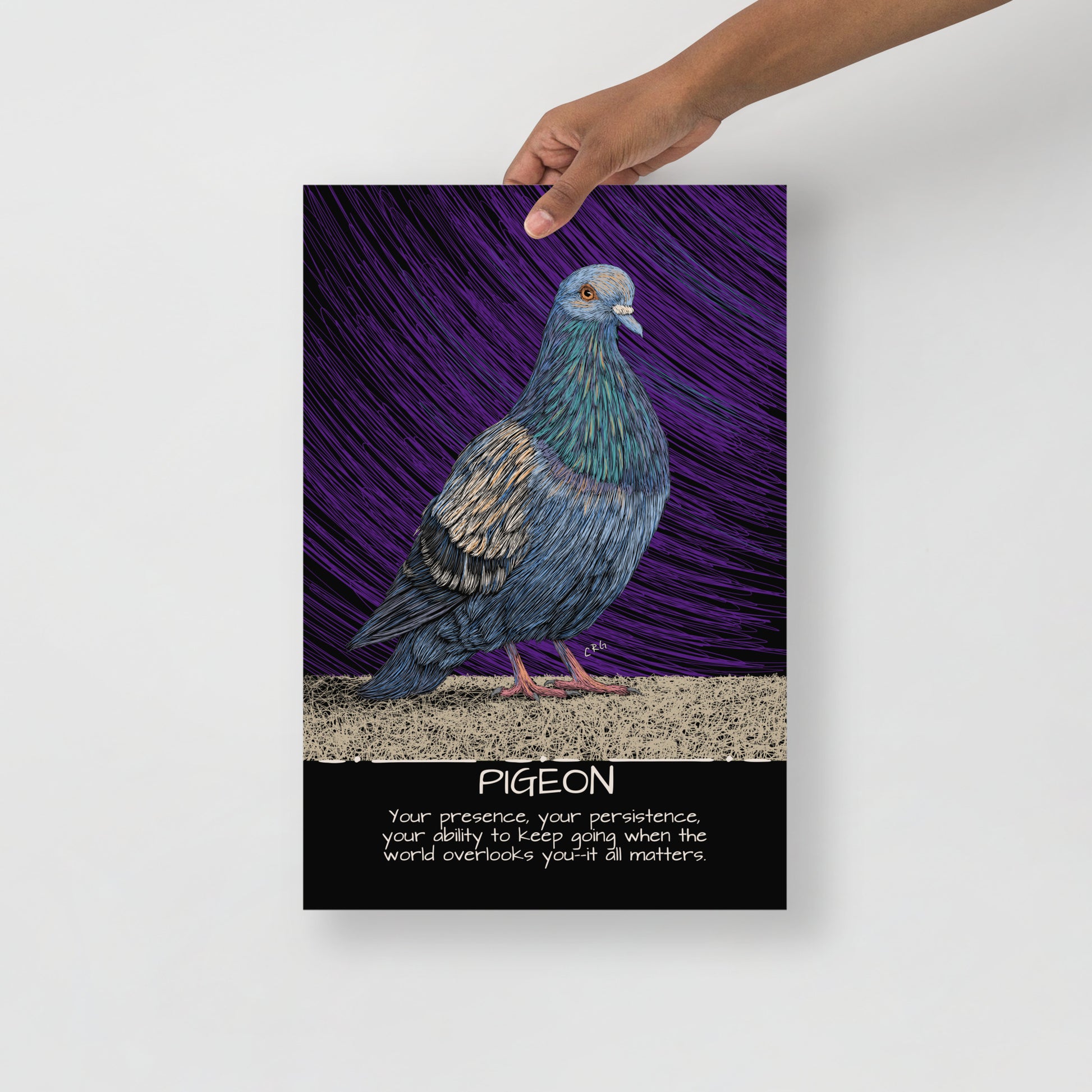 Pigeon Art Print