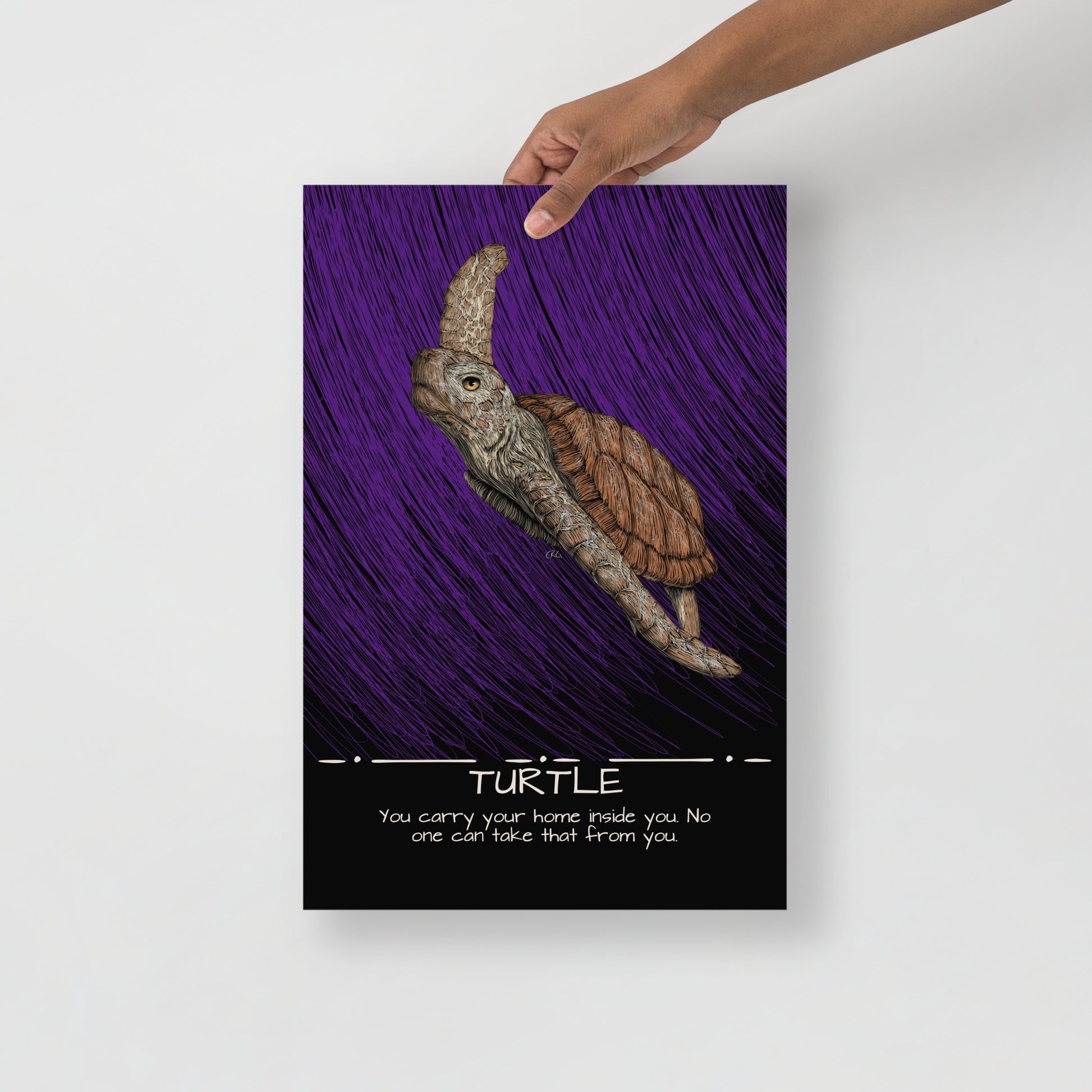 Turtle Art Print