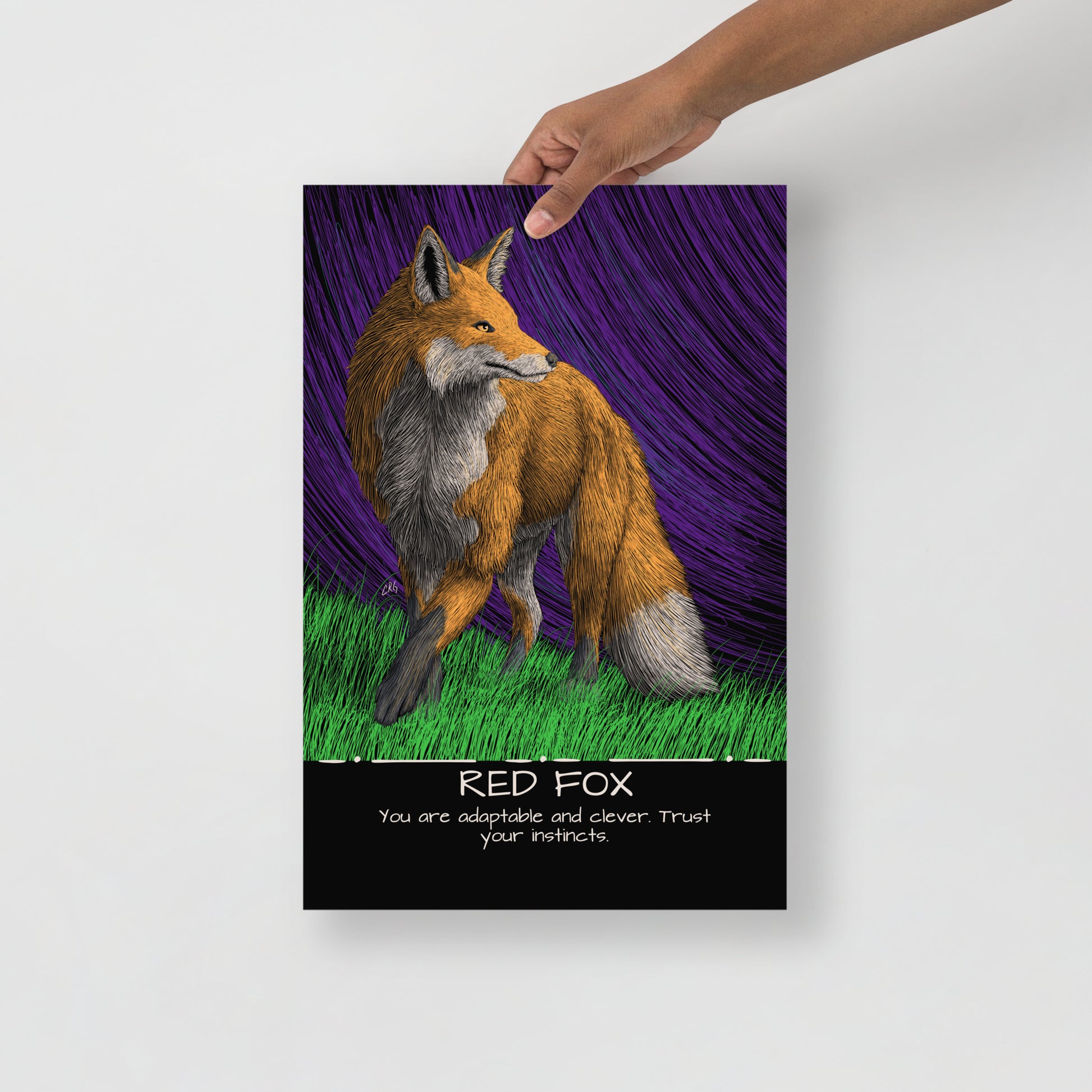 Red Fox Art Print