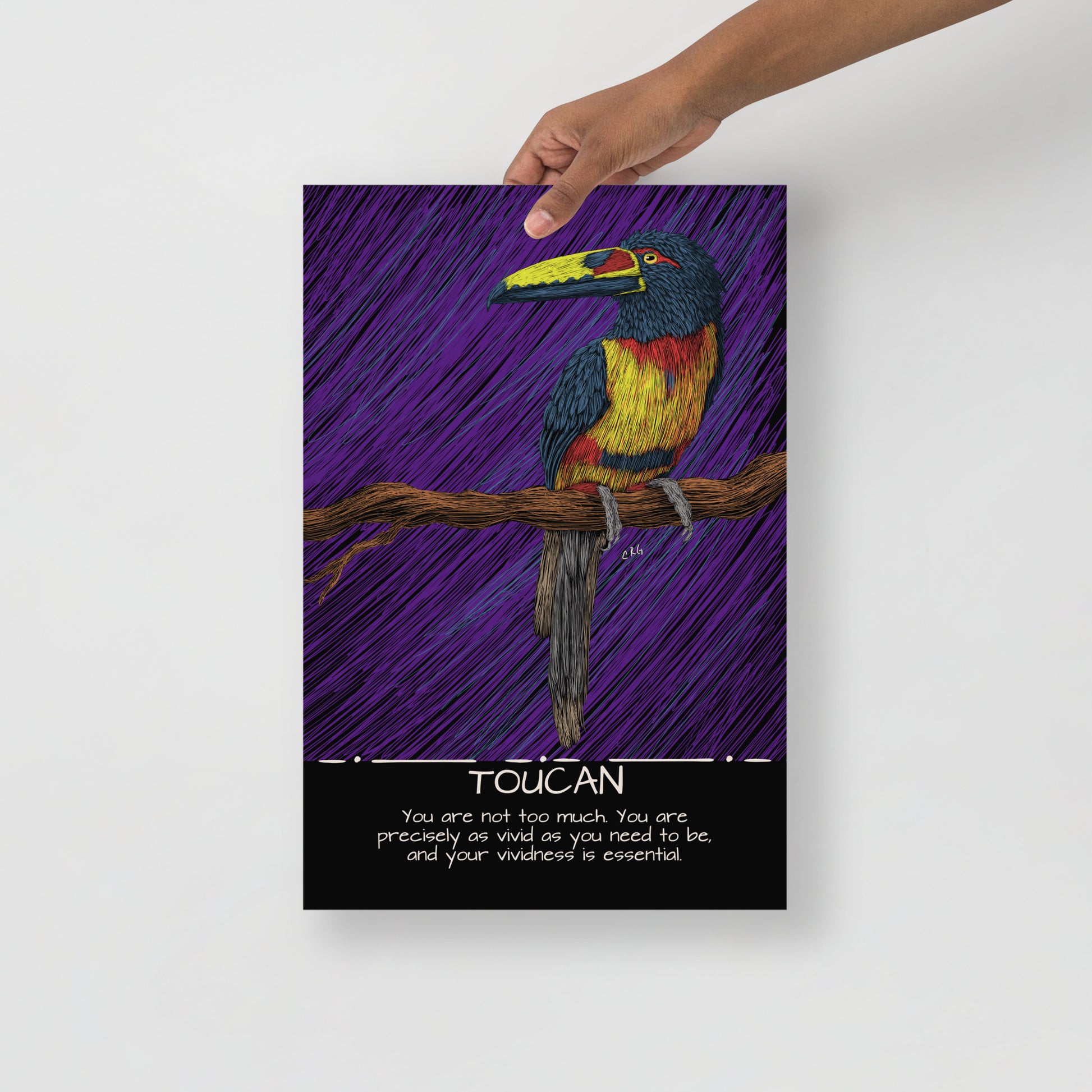 Toucan Art Print