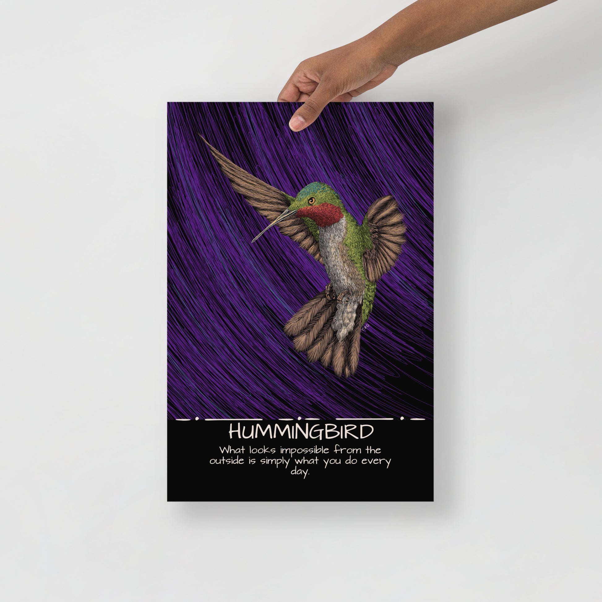 Hummingbird Art Print