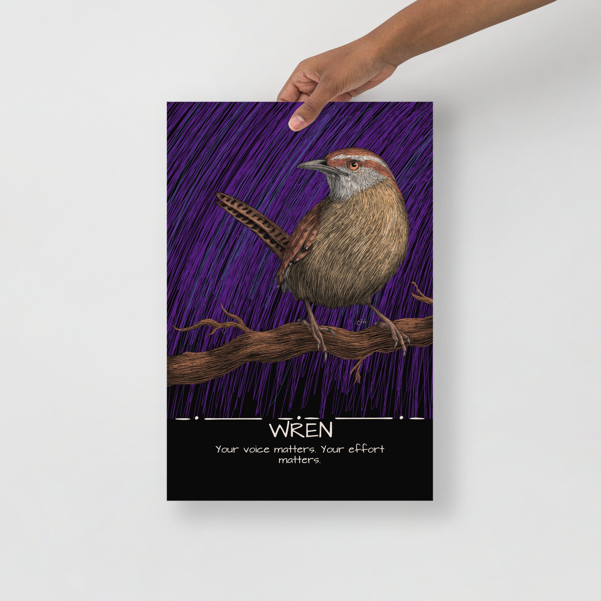 Wren Art Print