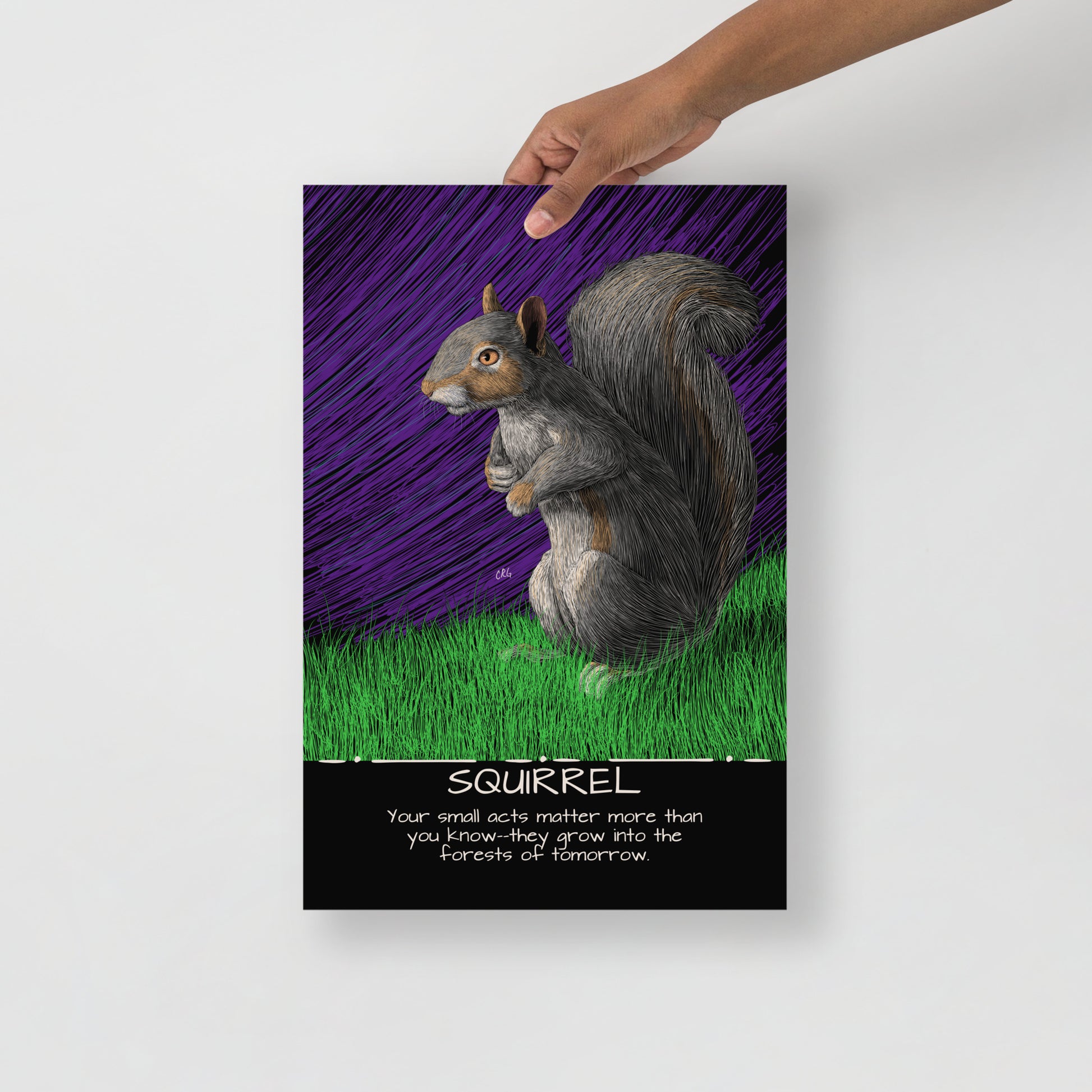 Squirrel Art Print