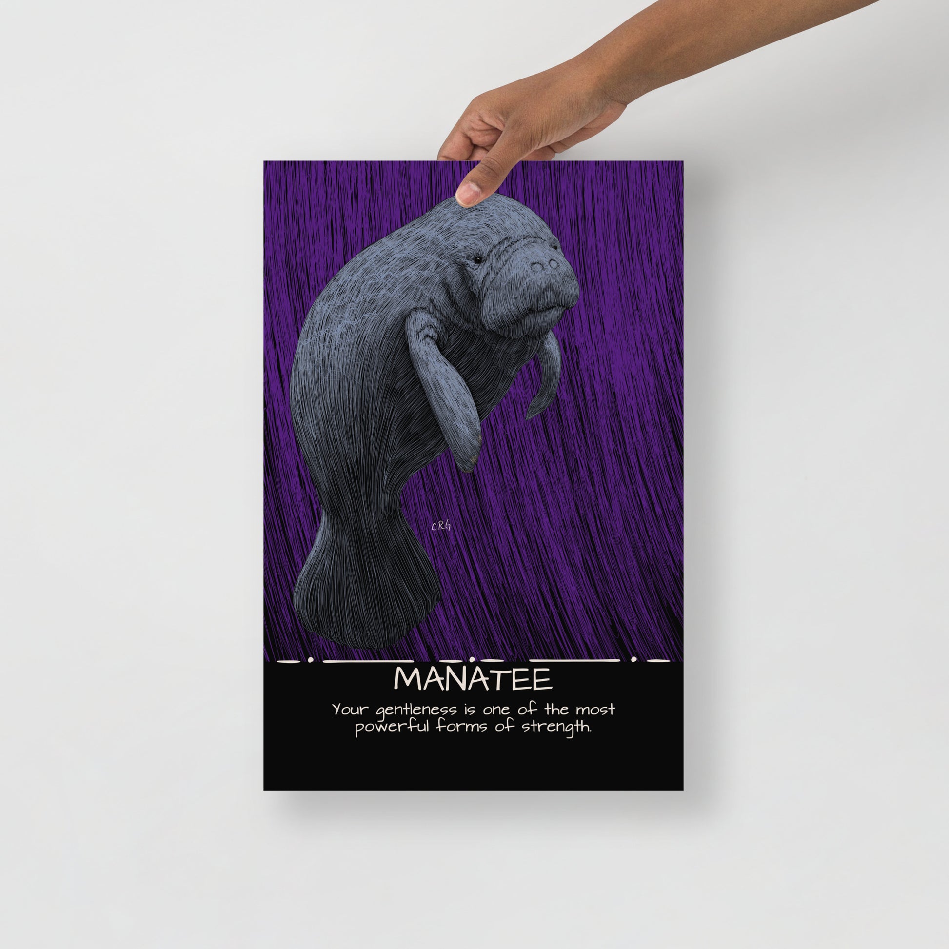 Manatee Art Print