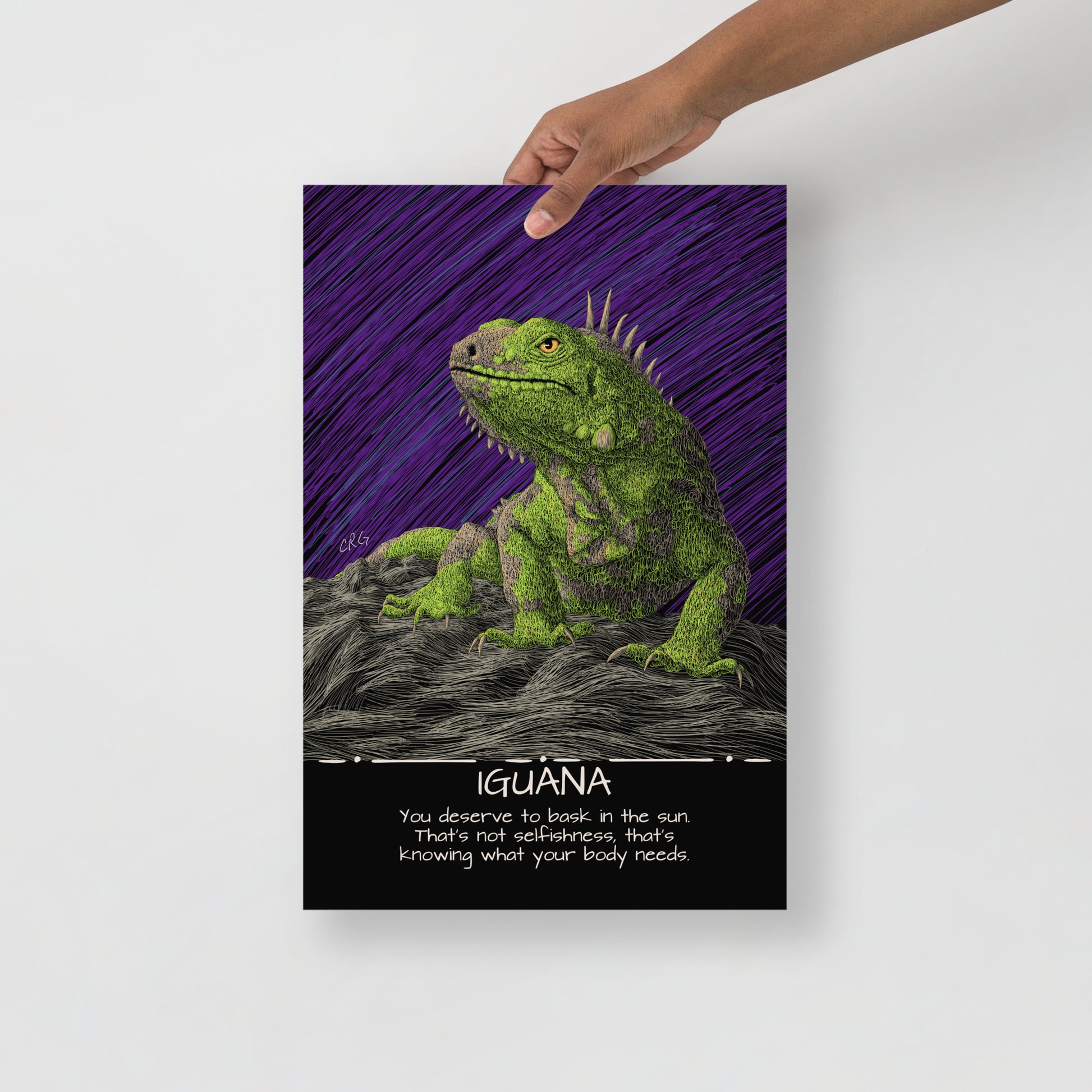 Iguana Art Print