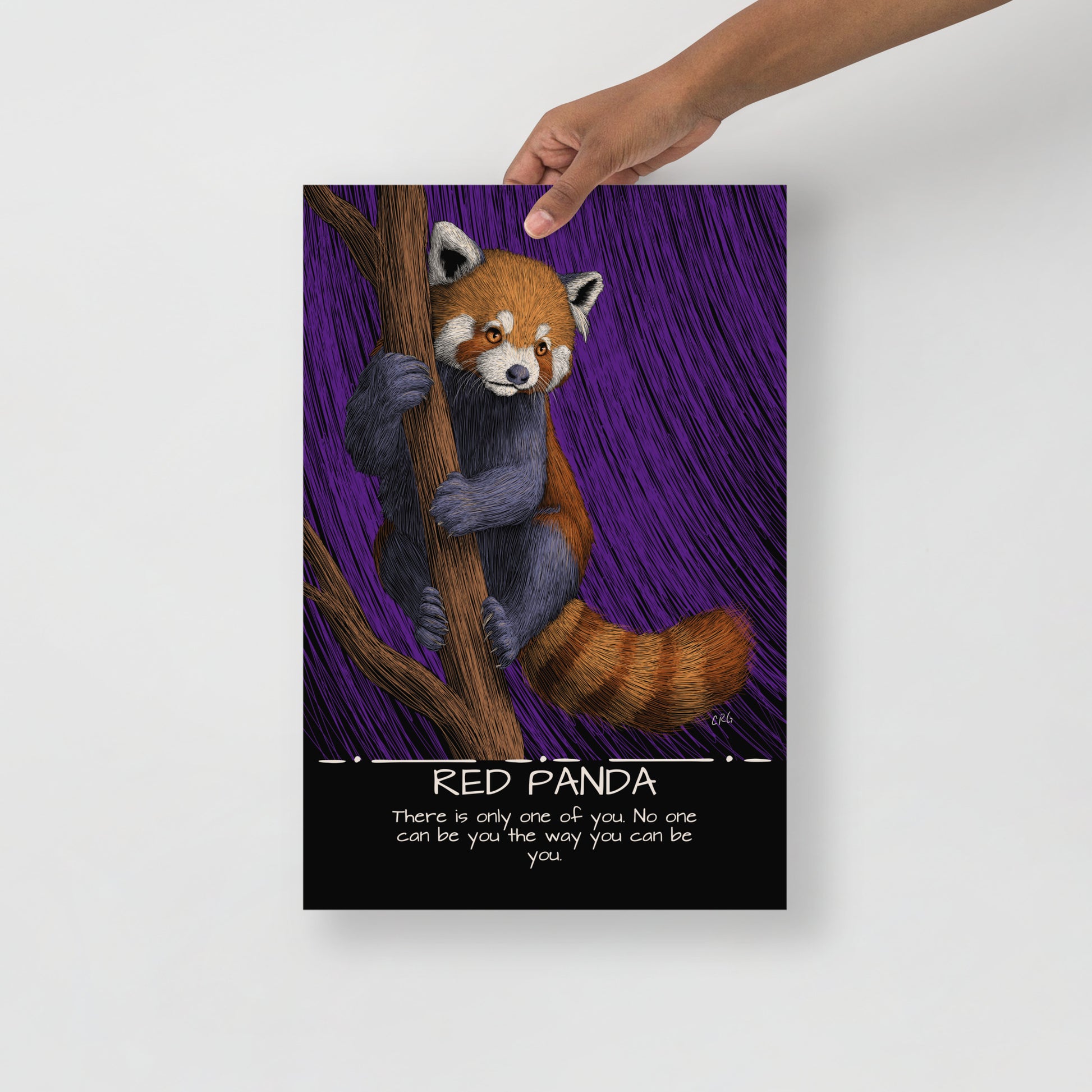 Red Panda Art Print