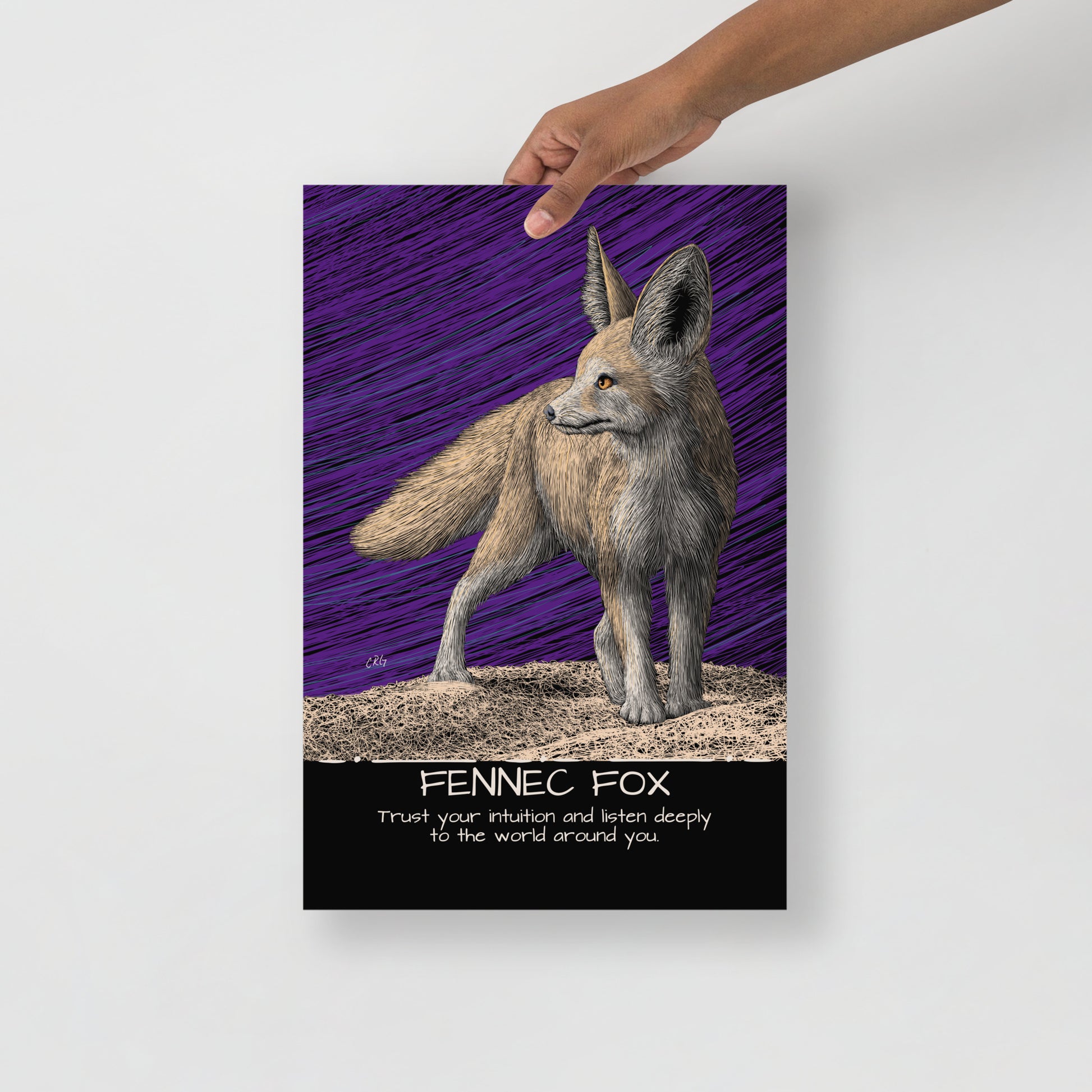 Fennec Fox Art Print
