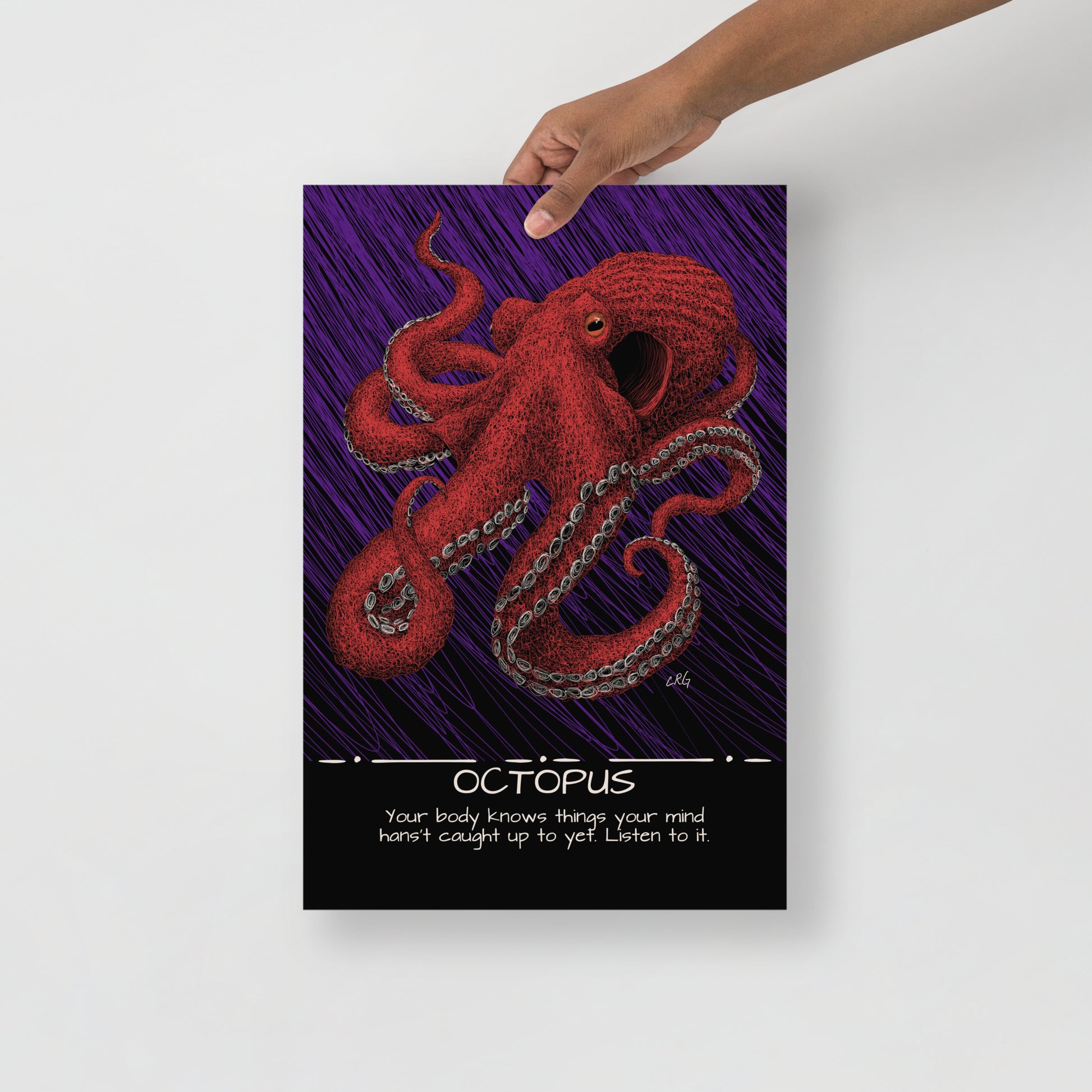 Octopus Art Print
